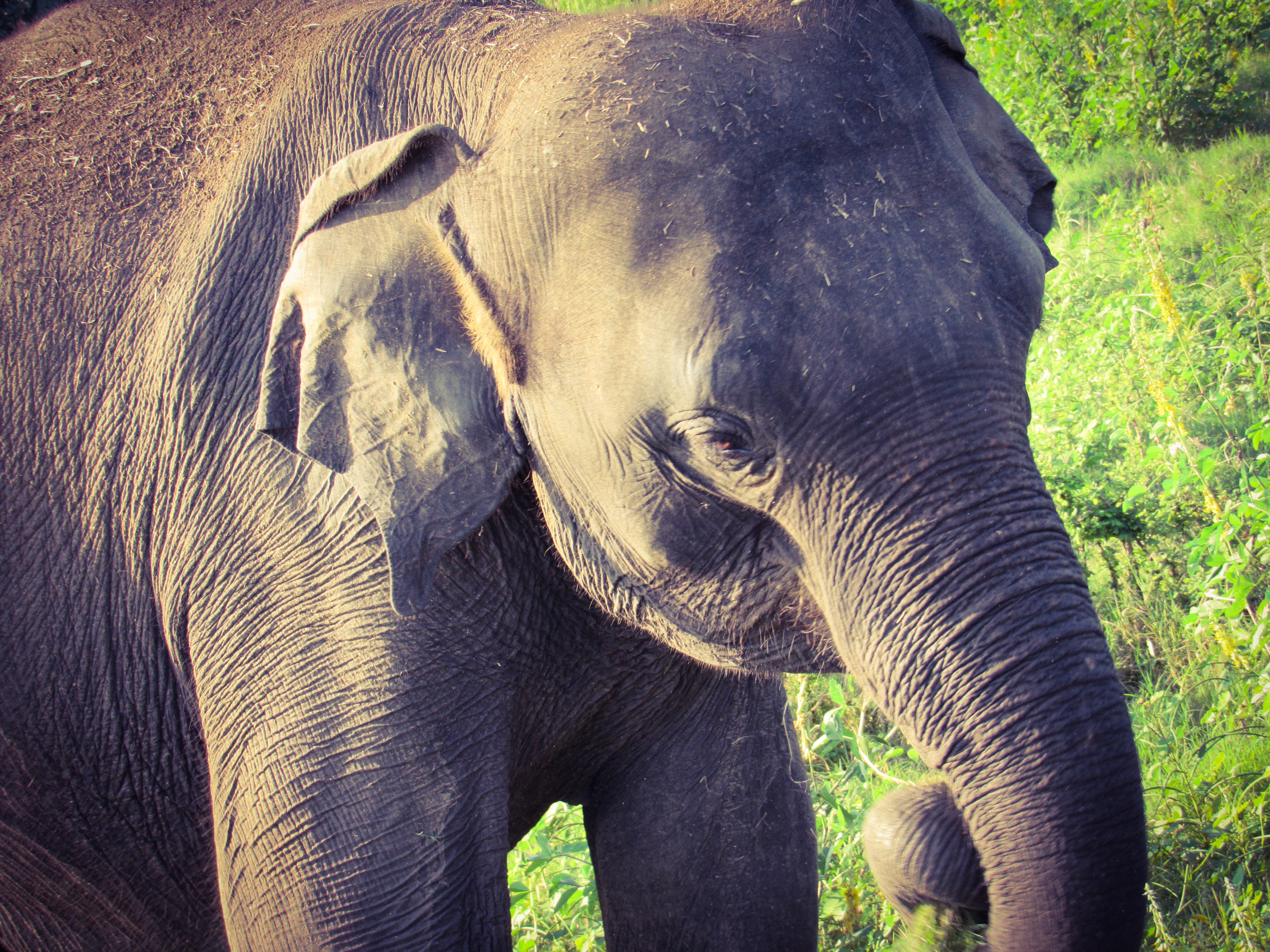 5F82E504-056D-4B58-857C-E5C0E0CBA529