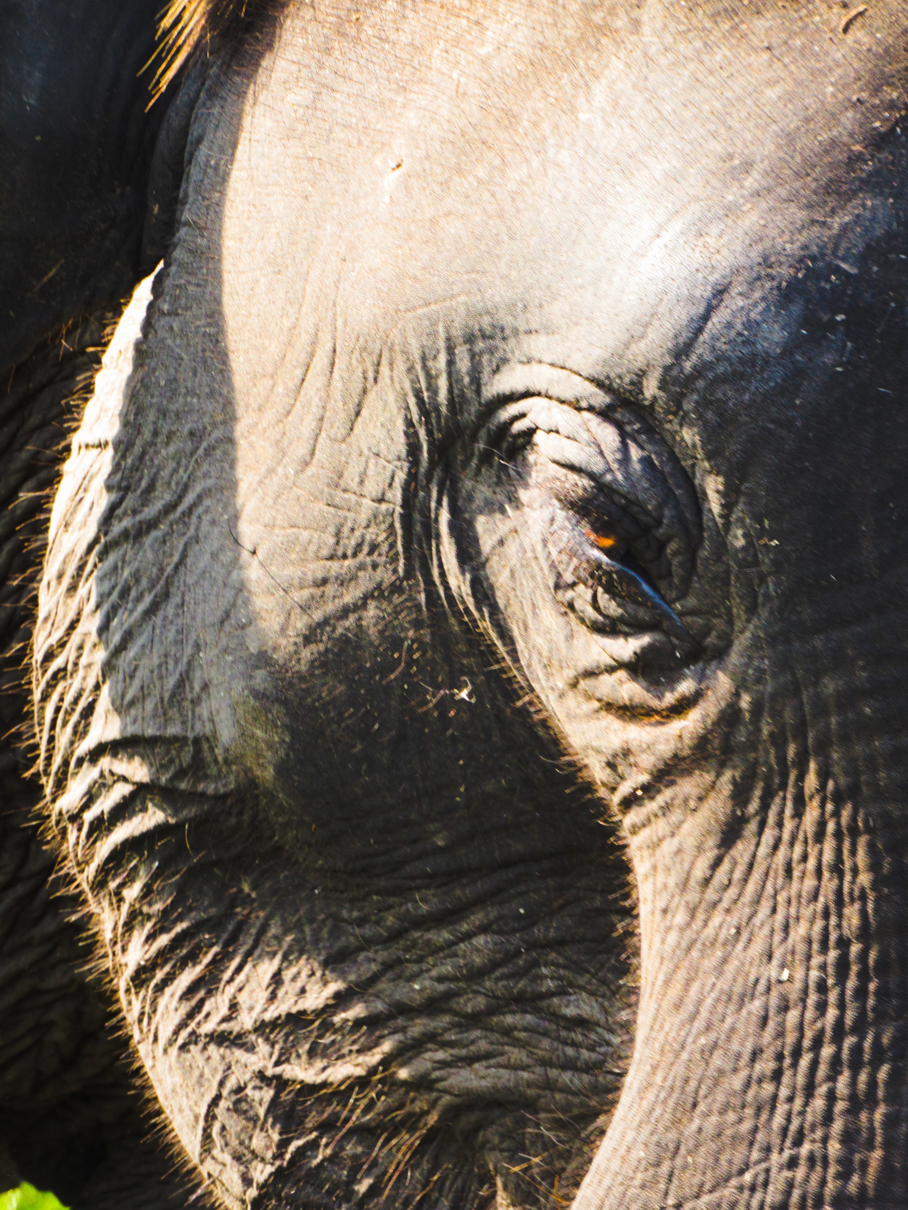 8041B99E-F76C-4659-B406-5664E2866C66