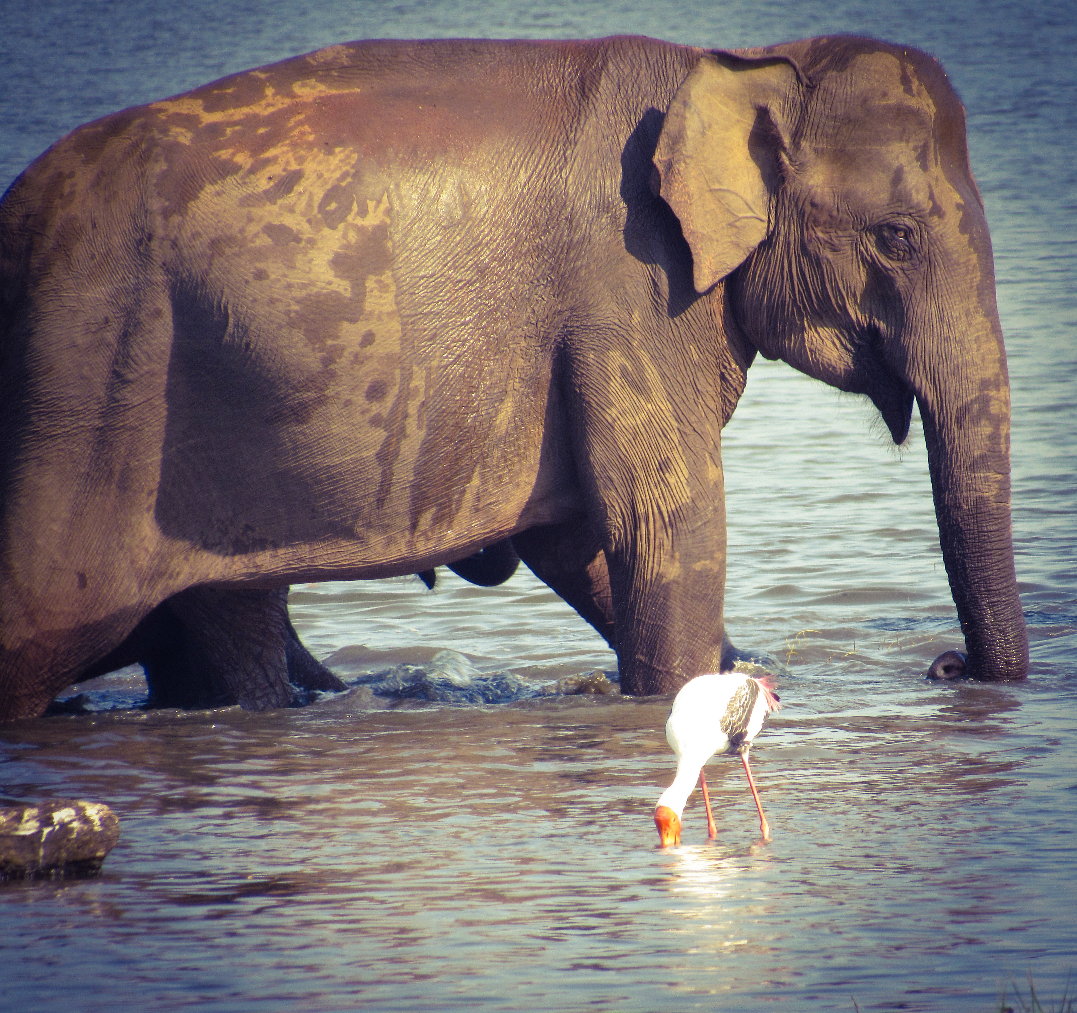 840E18E4-6425-4DE1-858C-EE6DD8DBC4EC