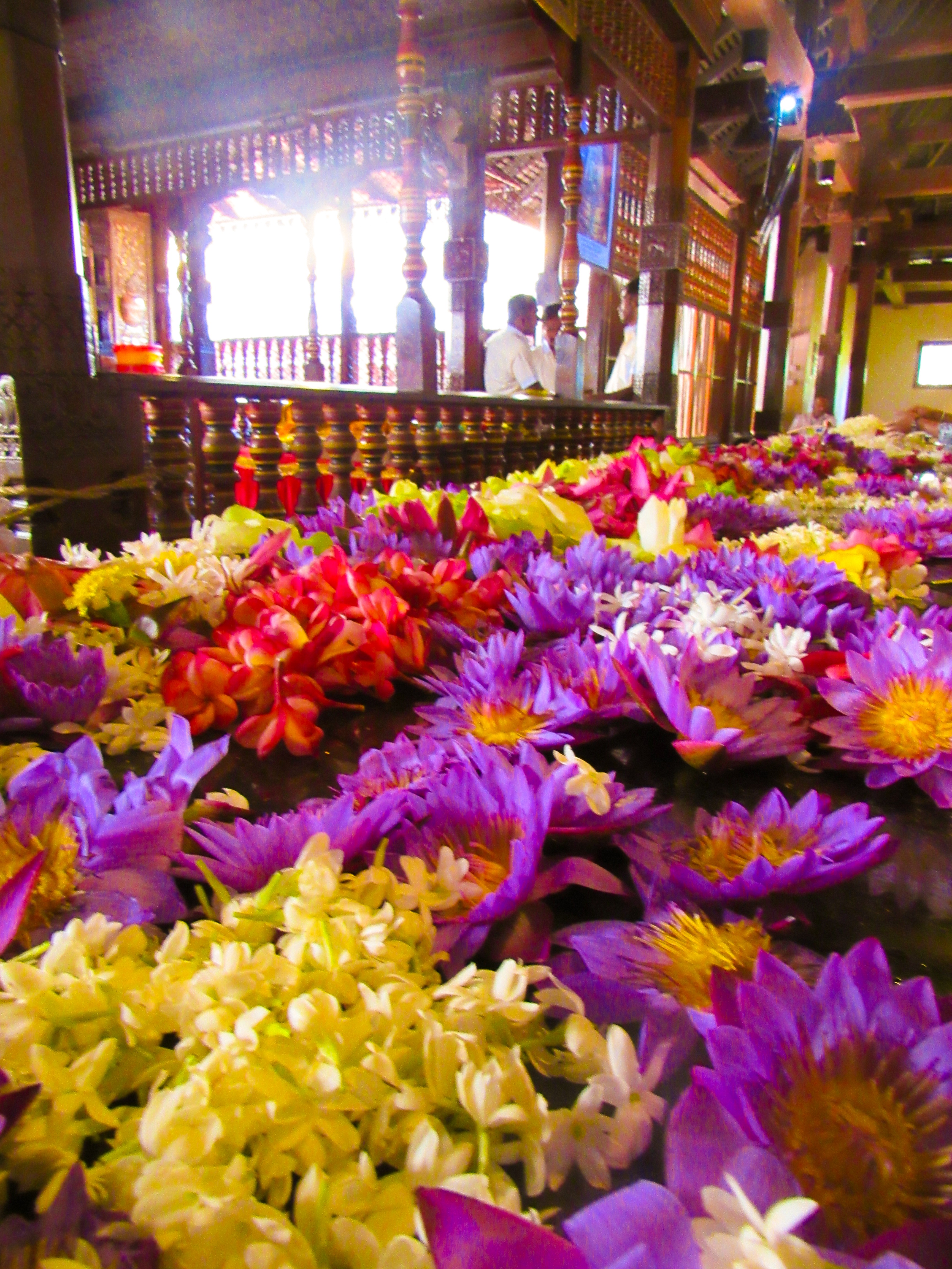 B2C2483A-D634-48C9-B4EA-6469E2F2C095