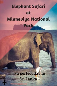 Copy of Sigiriya Rock Fortress