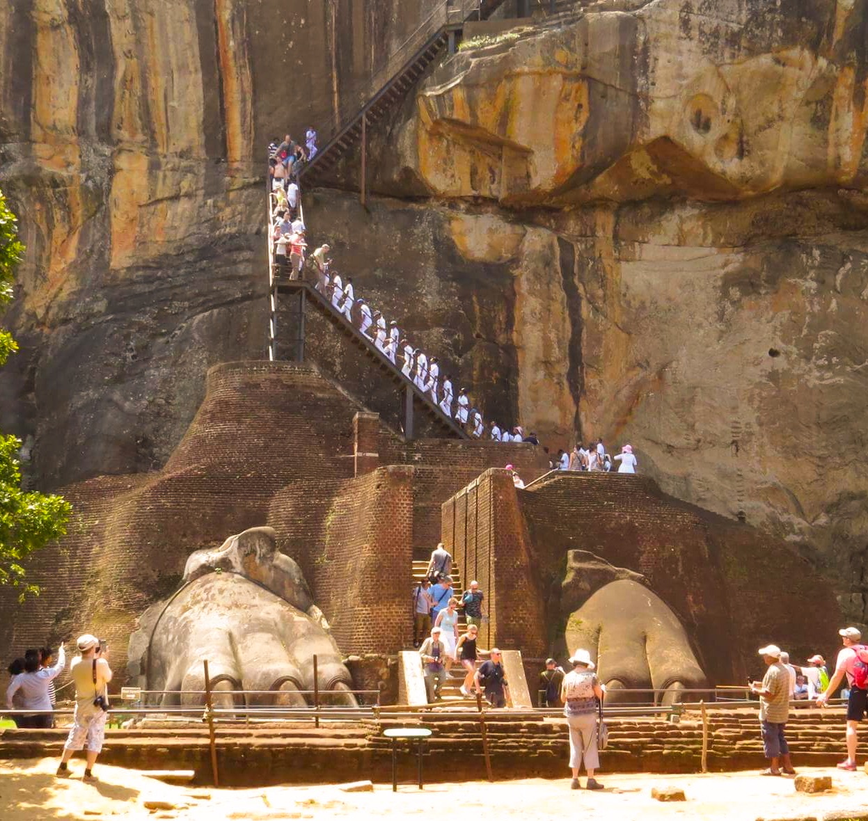 ECDC659F-F61B-402B-A7F2-E60B11BF532C