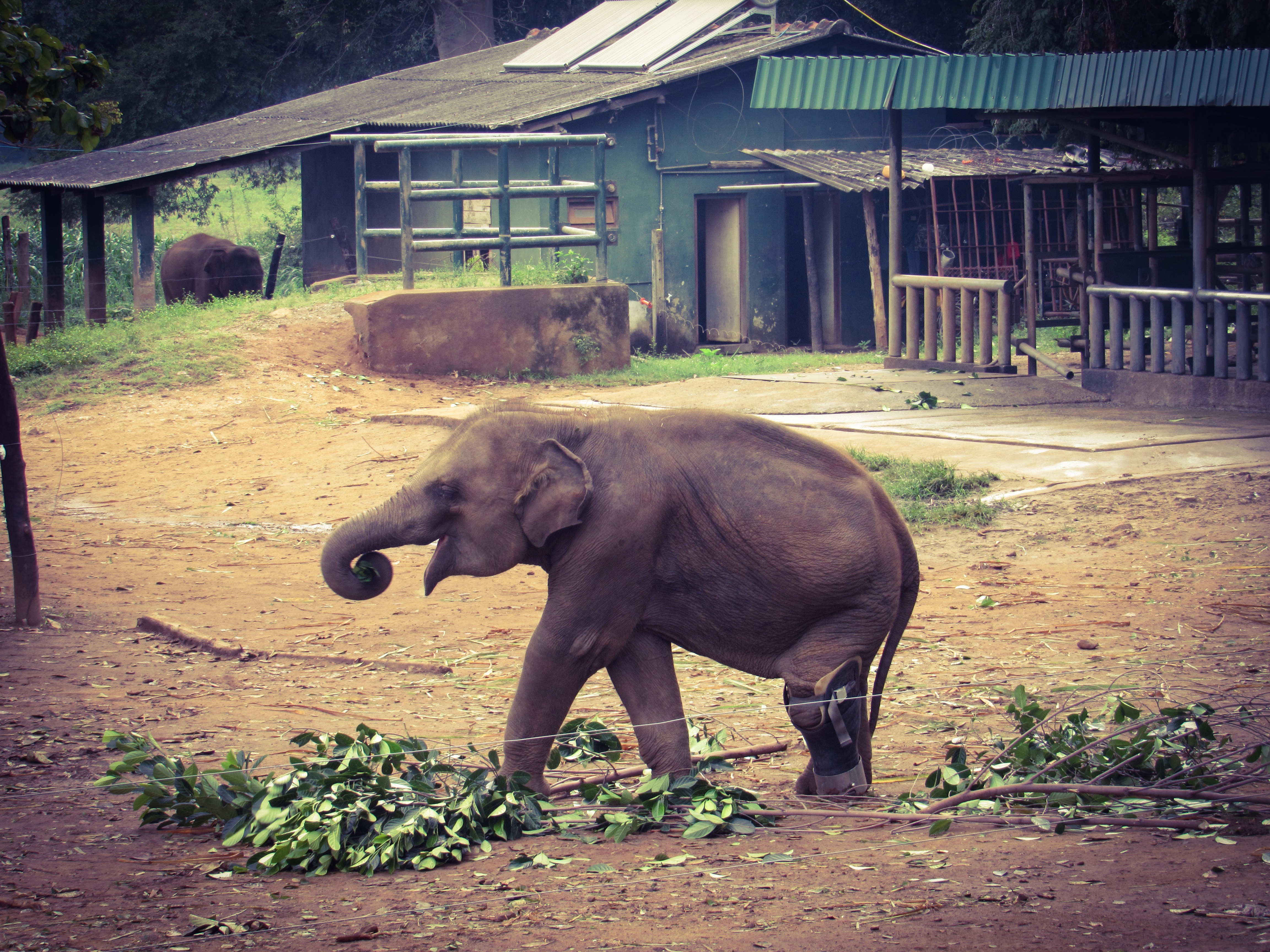 0F516731-C306-4BBB-9FAE-AD5EA3C686EA