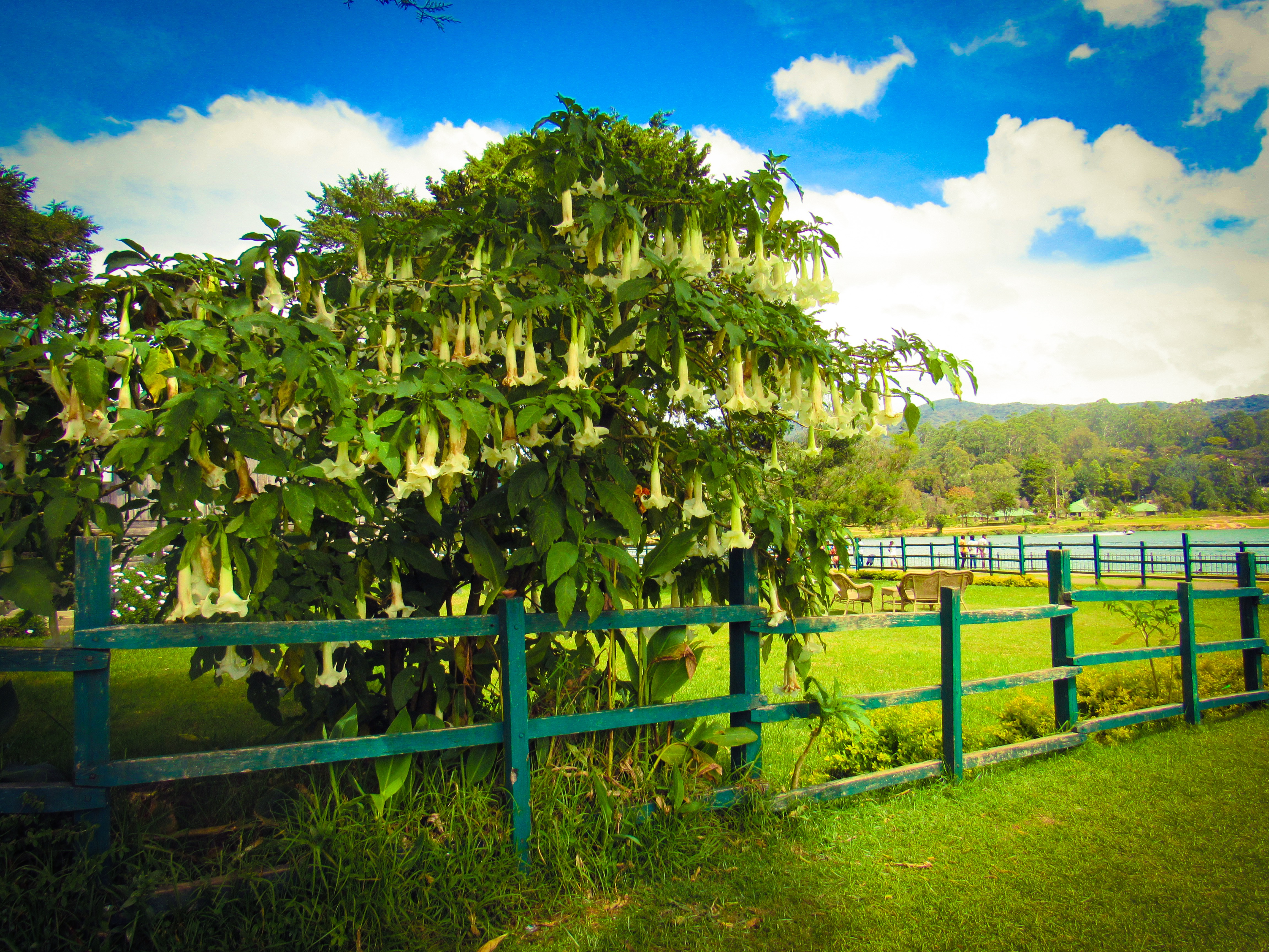 17E40738-902D-460A-841D-0733002C0E16