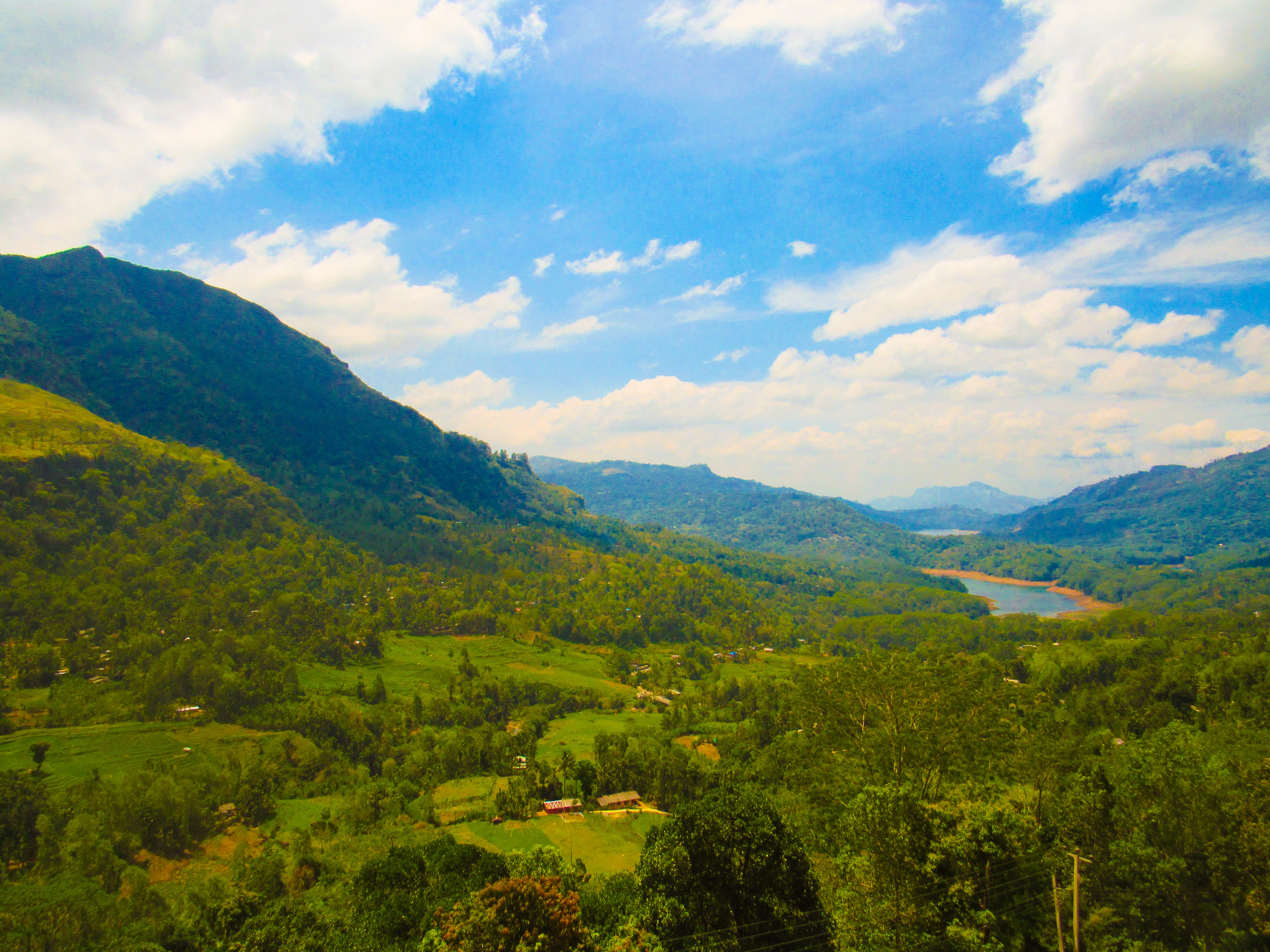 50EDD348-45E0-4488-83AF-5853B6489A0C