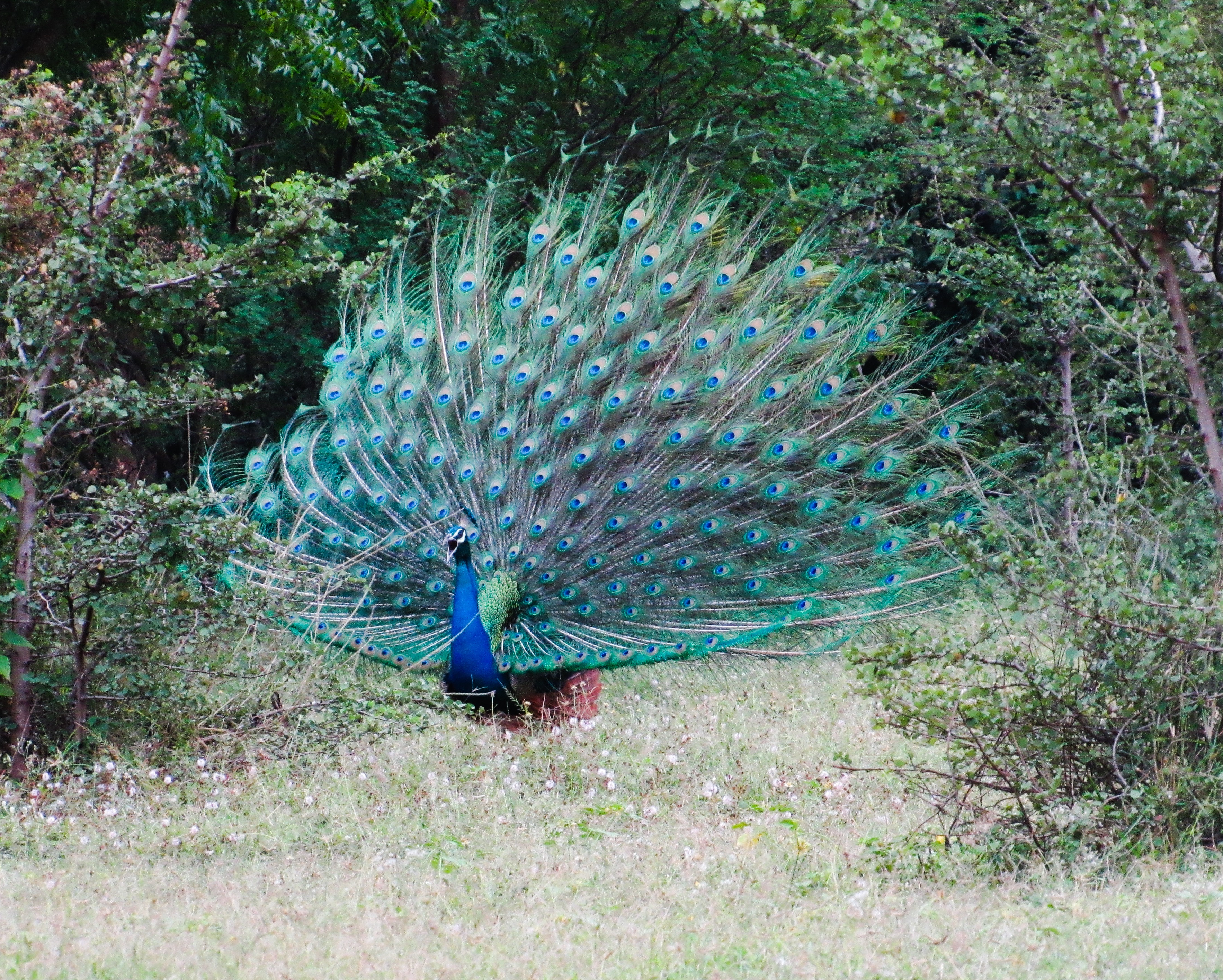 59E85D15-F704-417D-80E6-5ABF72568278