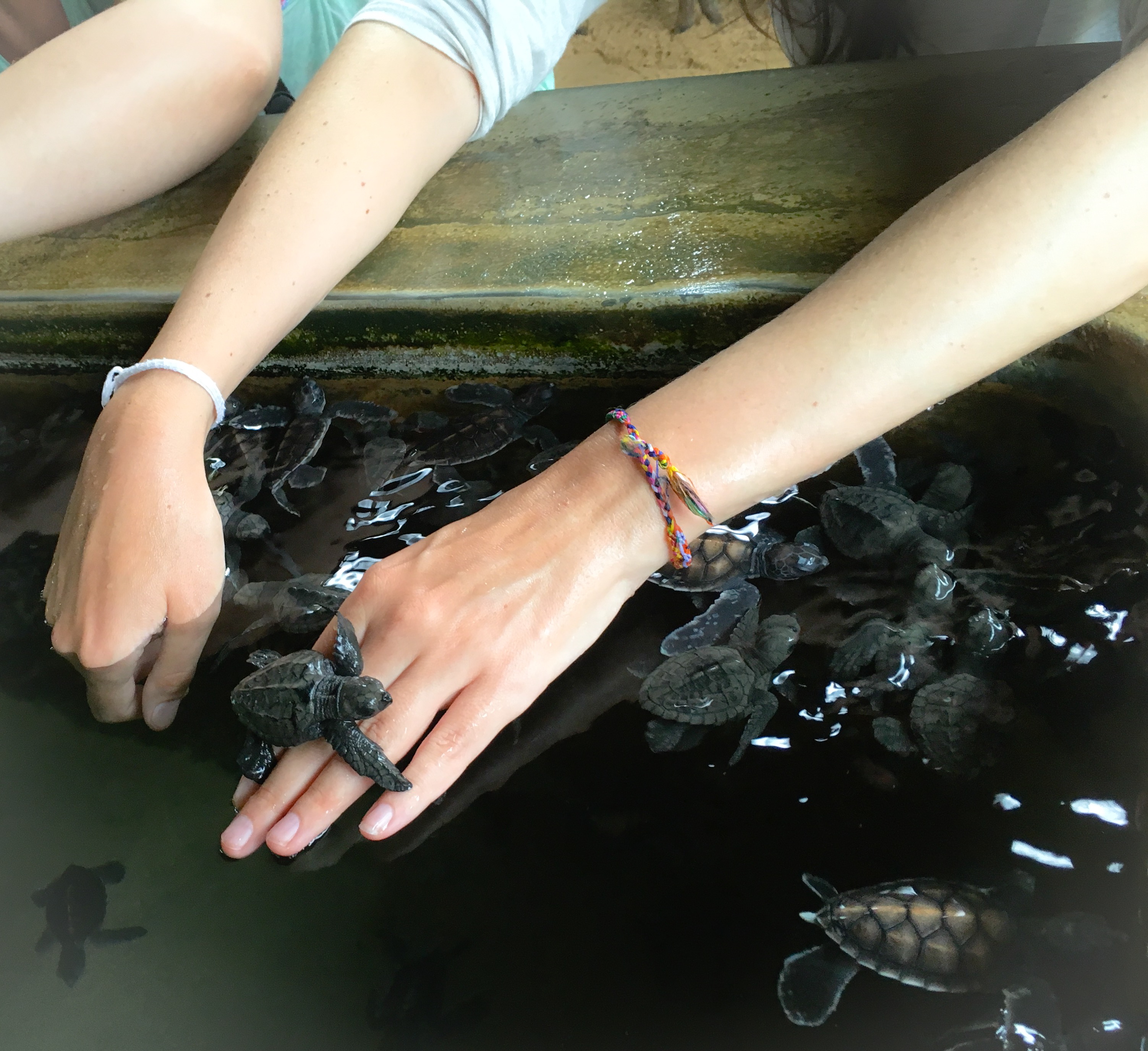 5AF6BE1C-54B9-48A8-9955-16CEBEF19D2F