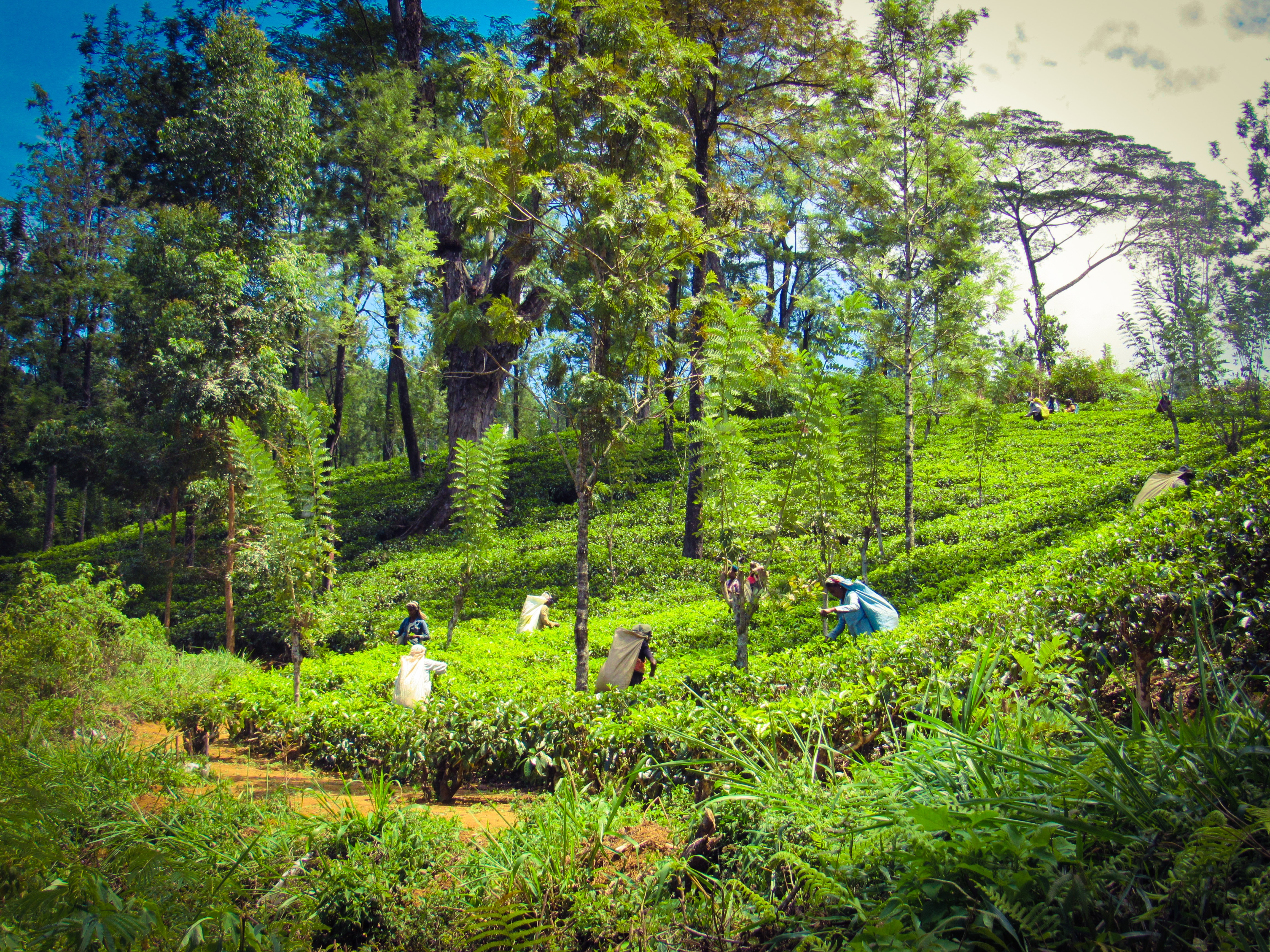 6677D551-479E-43EC-8B8D-35F3146D3E46