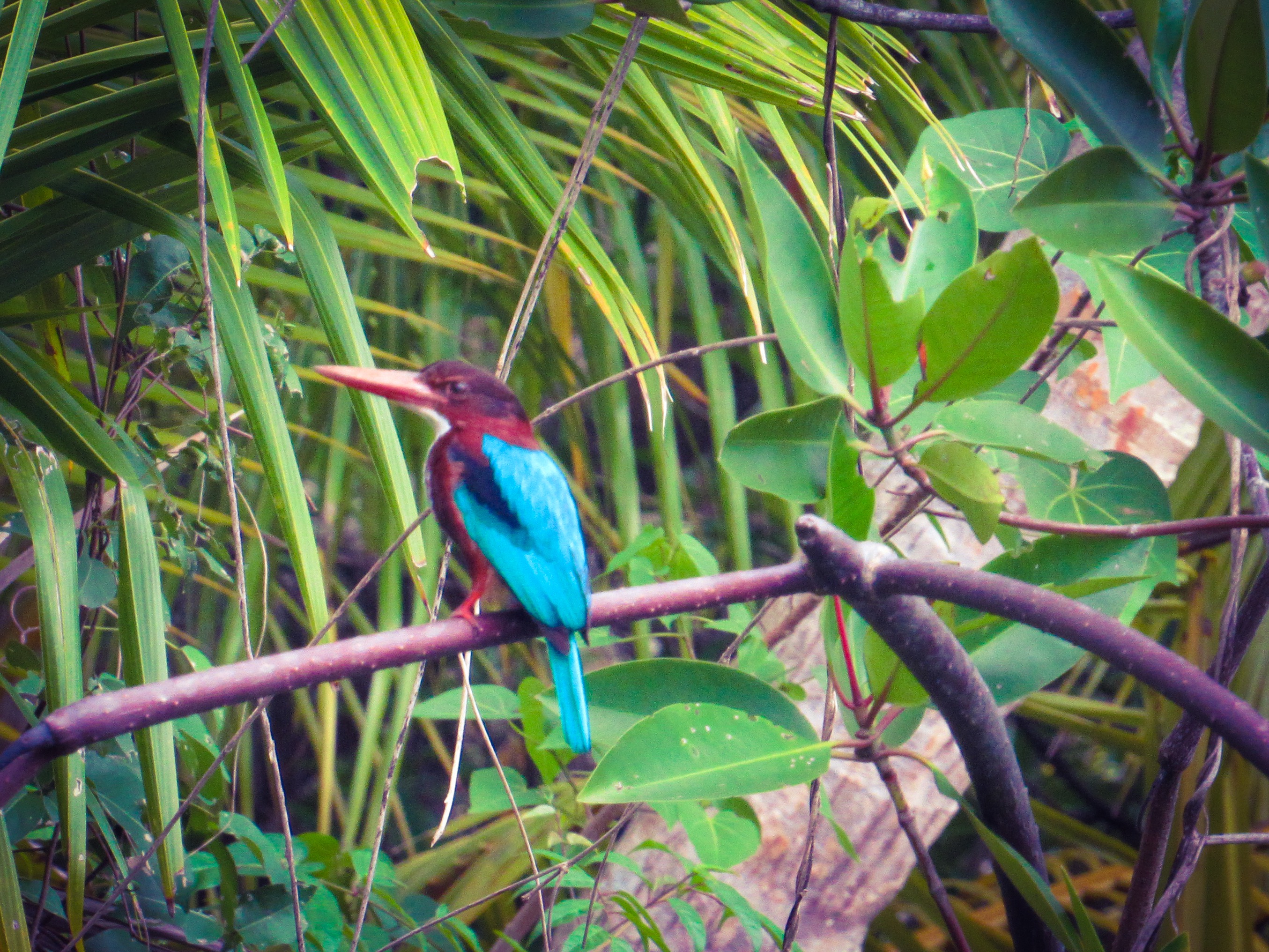 7D37EC8B-E2DF-41E2-86B2-238EE6268B67