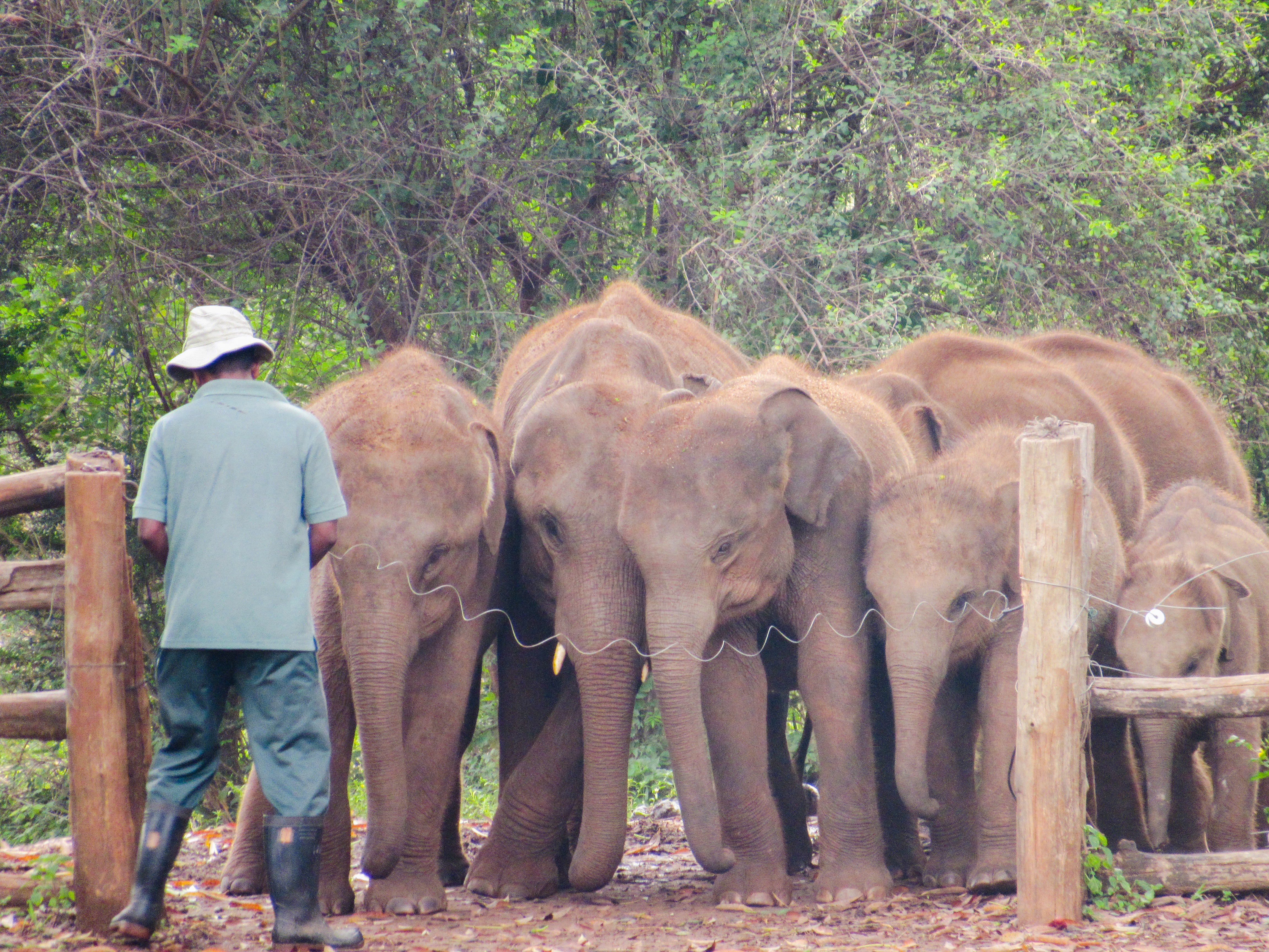 7D5CEE1C-8400-42F2-B65F-F407281E4F57