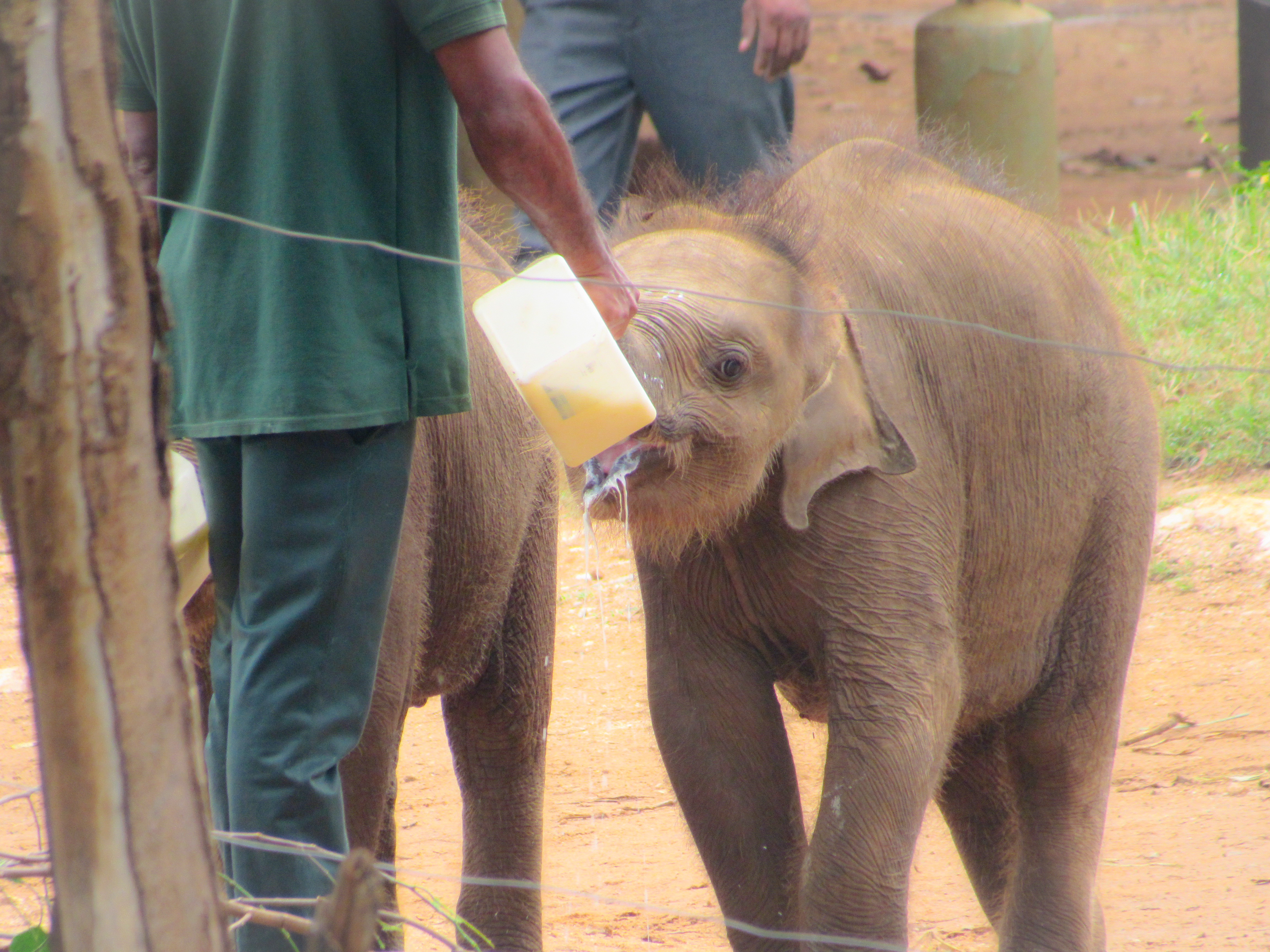 8D120016-C7A0-48FF-82F2-AD691B67A981