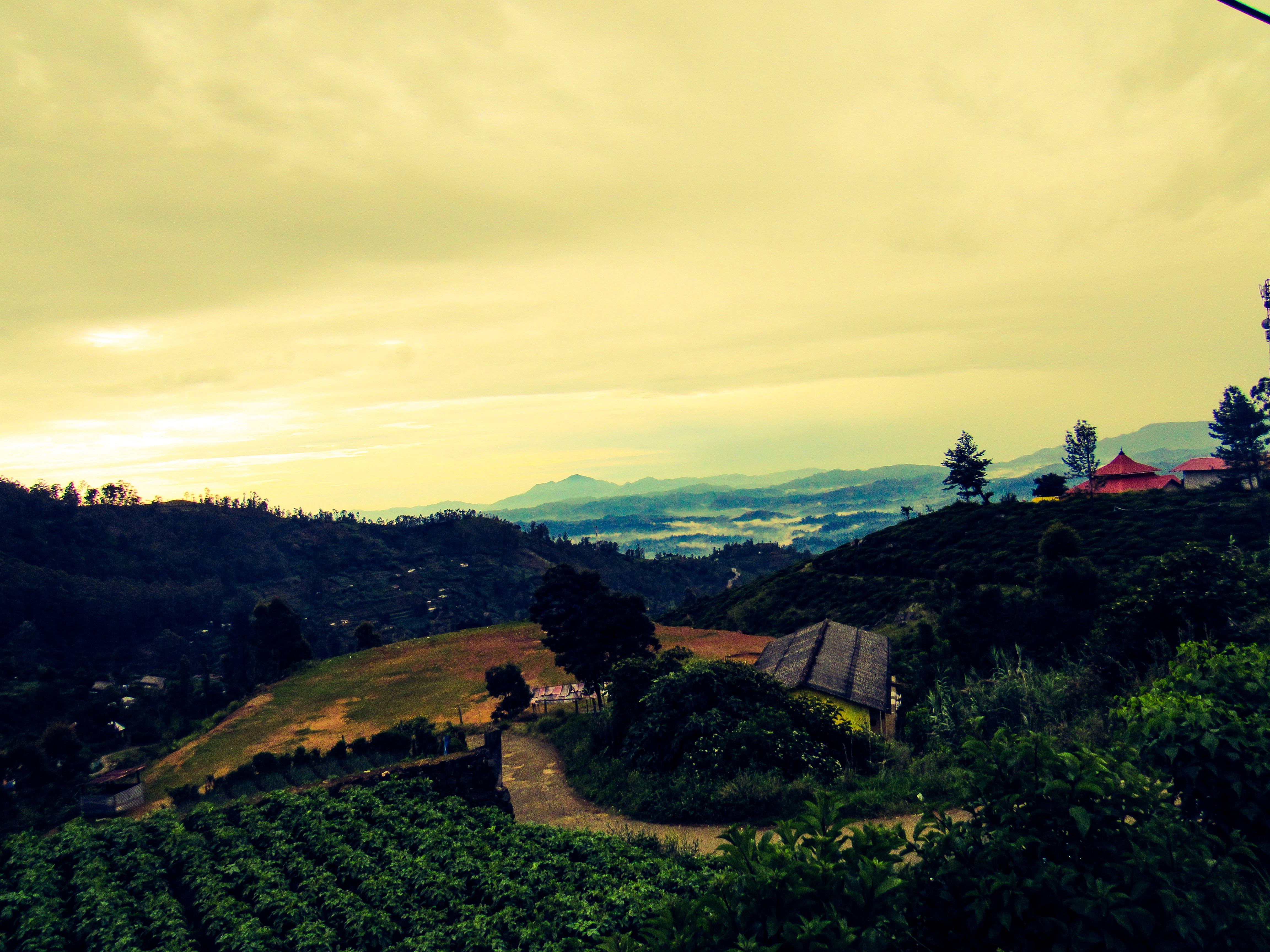 91FDC59F-4A38-4BB5-A2F3-02D6FB5B031E