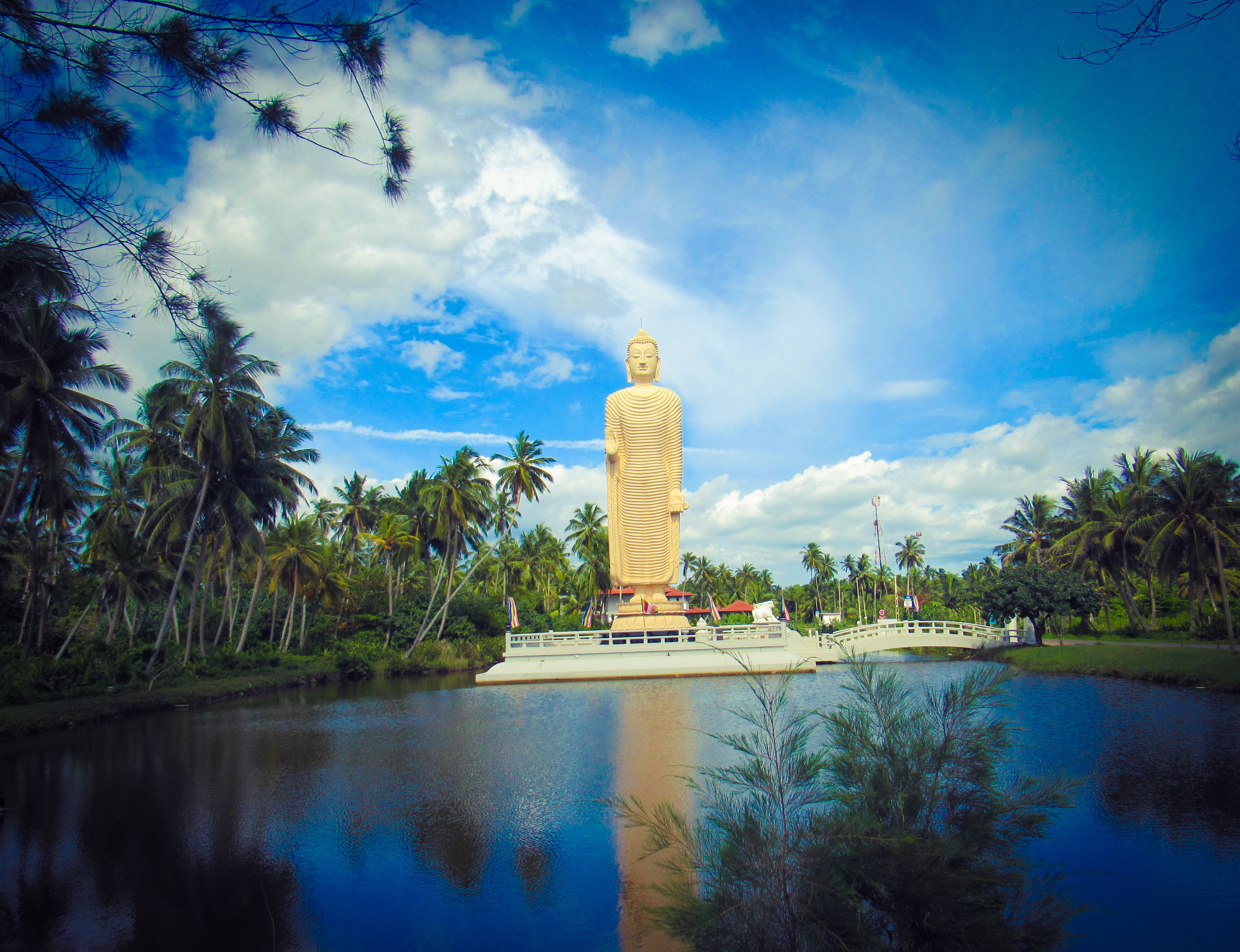 AD99480B-1B0E-4529-AB26-1EA0861AE0F9