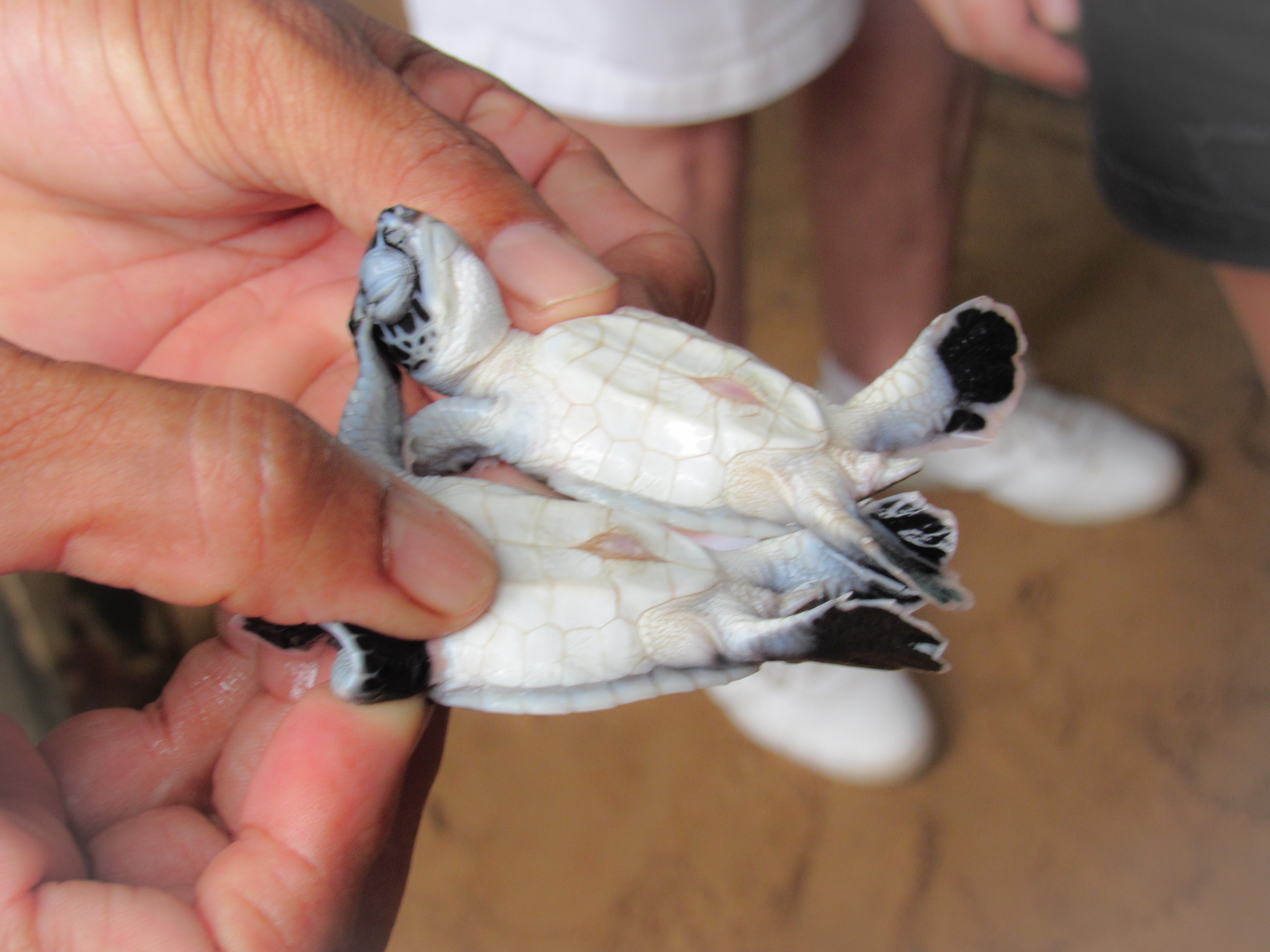 AFADB379-06E5-4E9B-9666-2016CB285BA8