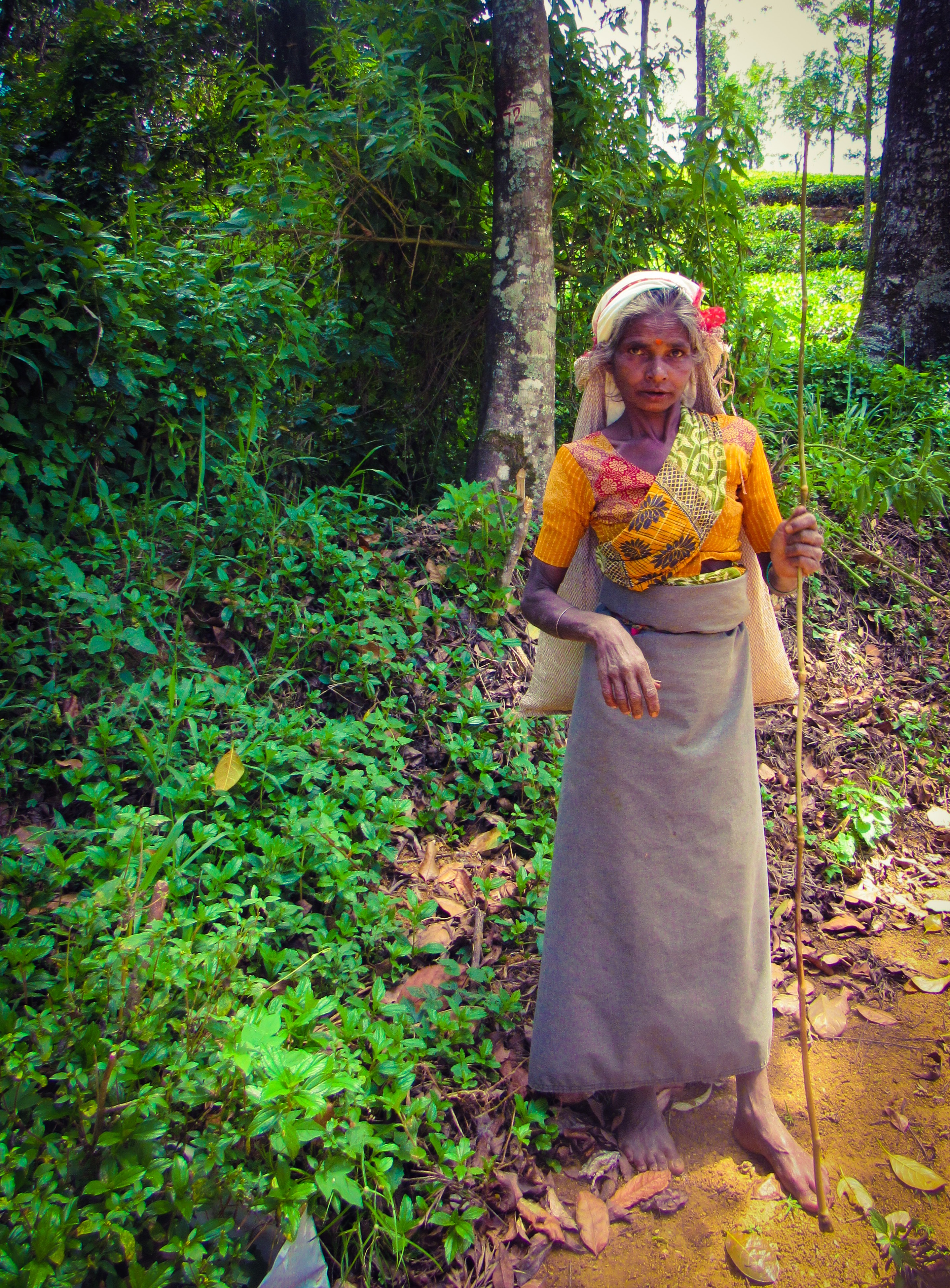 B1813BAA-395D-49EC-AB69-2FEA6B2E179F