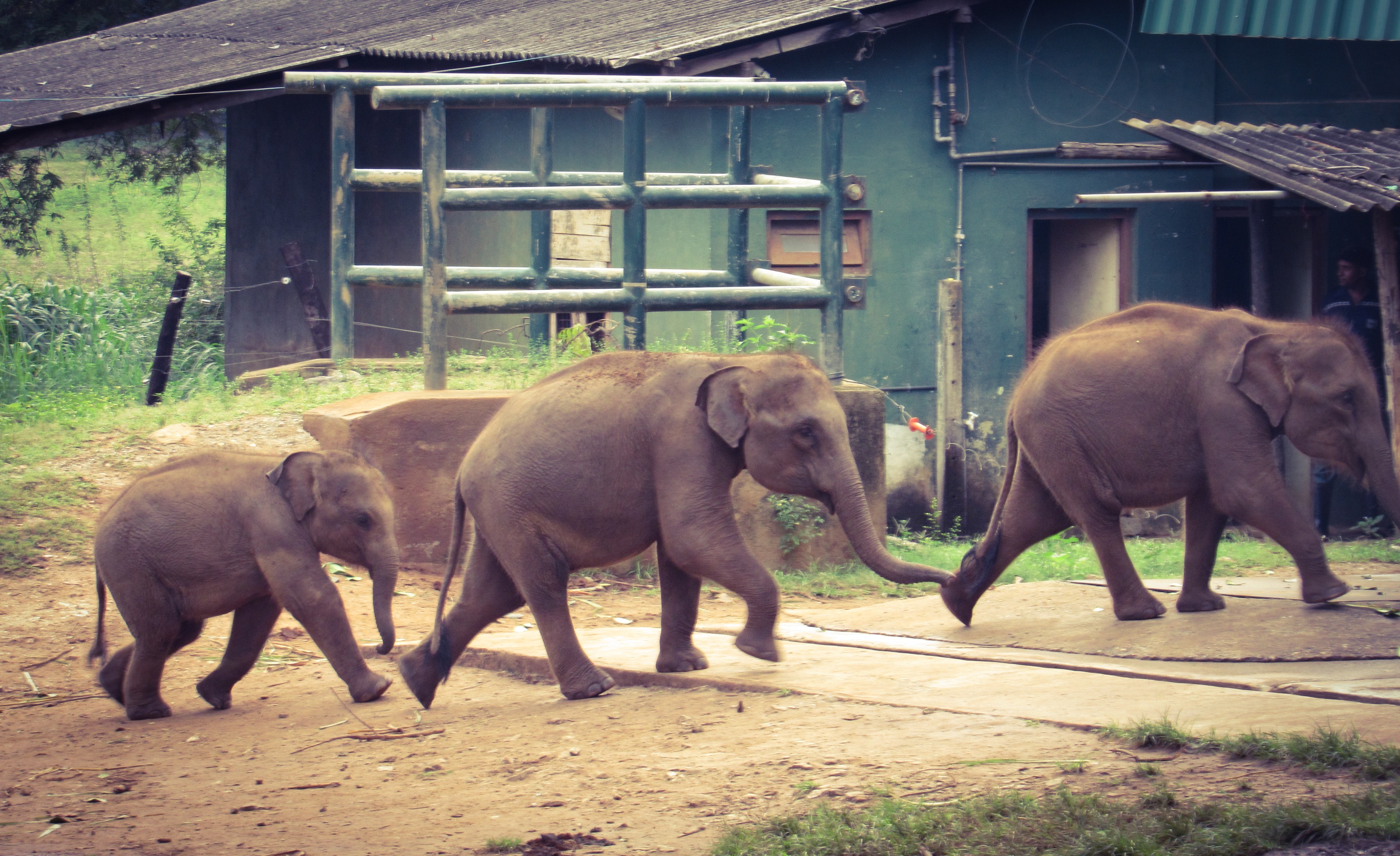 CBD4ABE6-F678-418A-AECE-8268753E2779