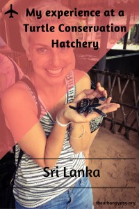 Copy of Dodgy Fish Spa