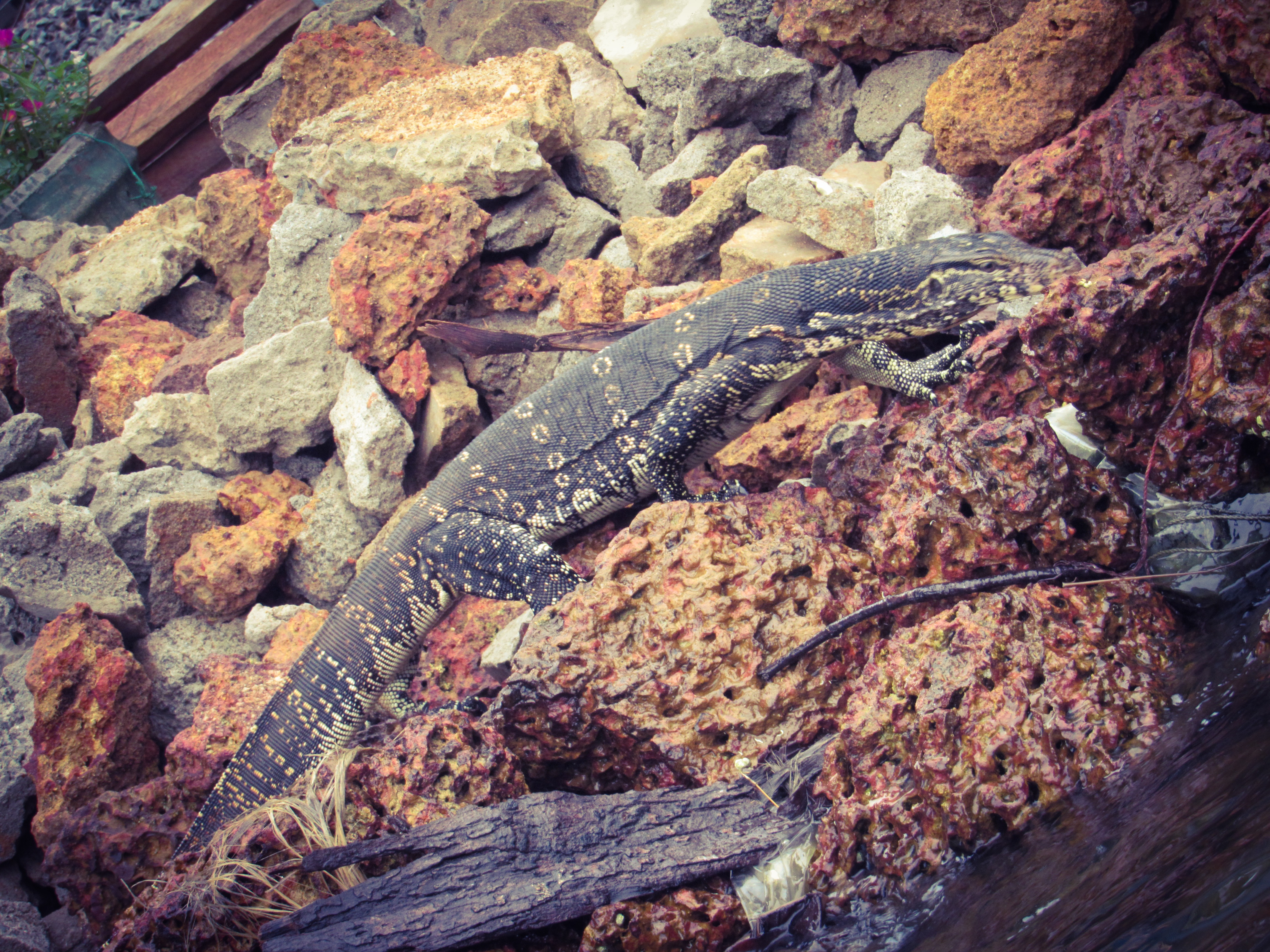 EC2D1DB8-F45B-476D-BE74-83513A999295