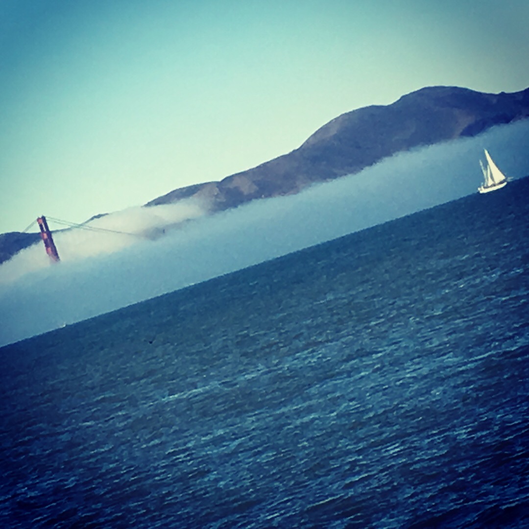 San Francisco's fog Karl