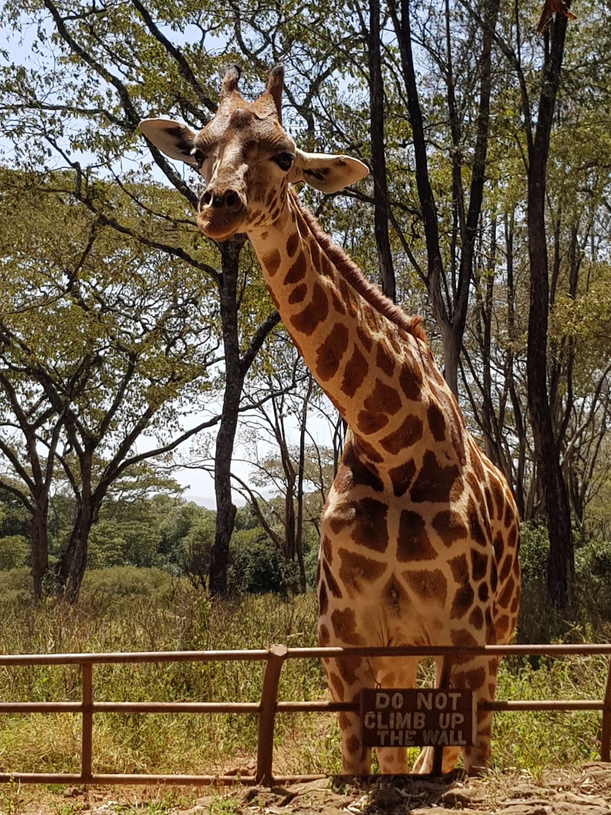 88e559f8-9506-4991-8380-0773153c3077