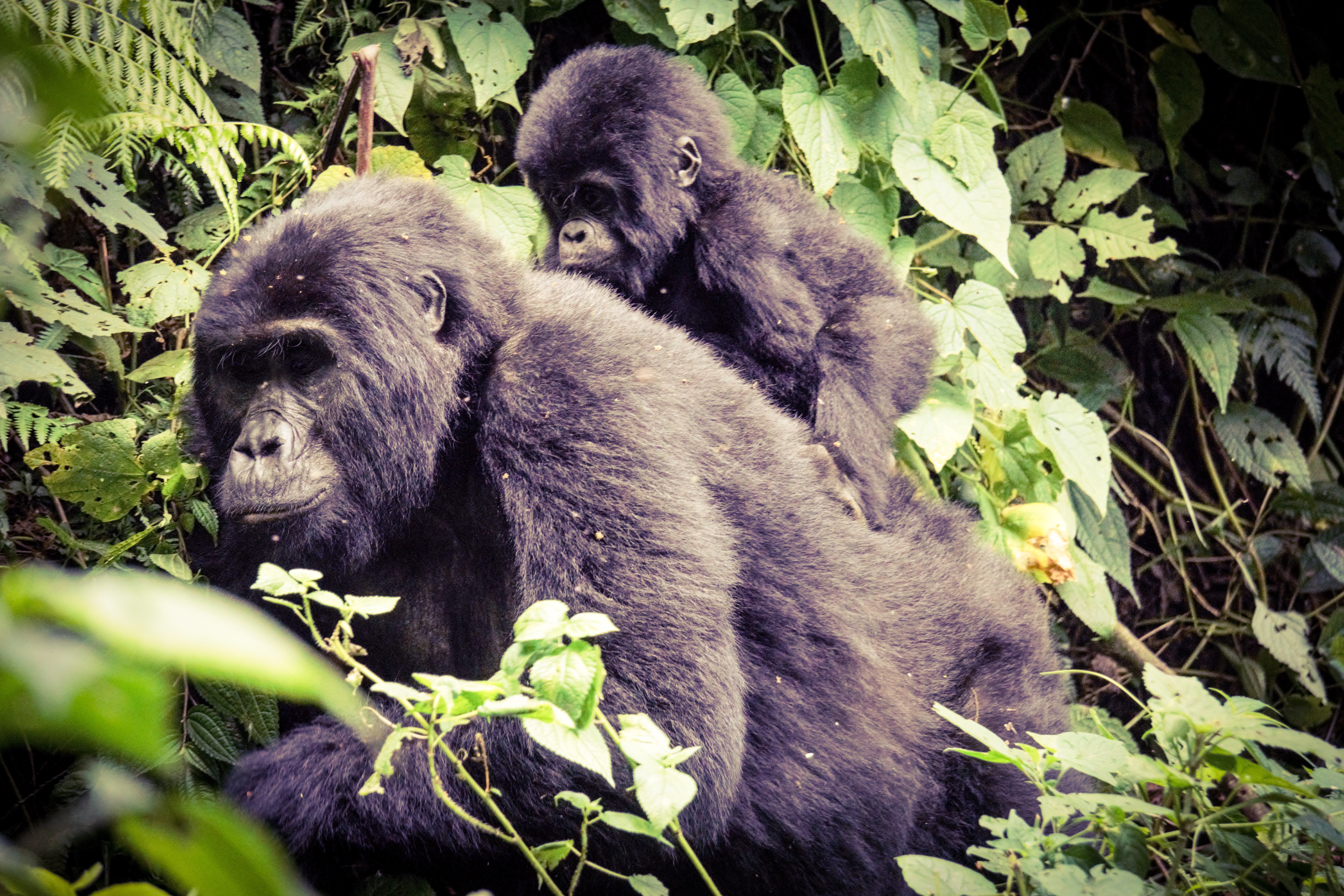 573E141D-2218-4113-B17D-47996A46F3BC