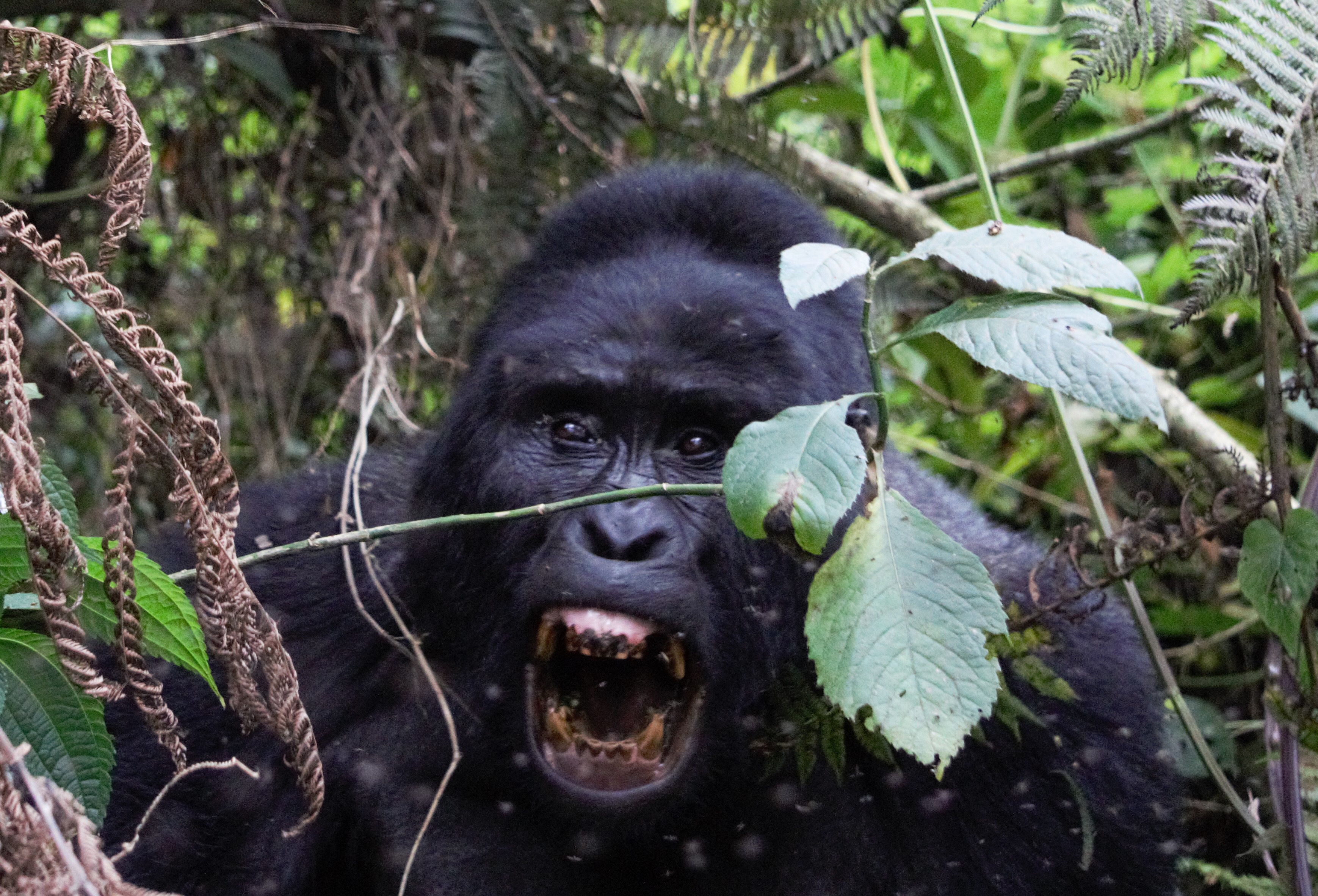 F7149DAA-DD46-4D6B-9F1F-269112C0AF76