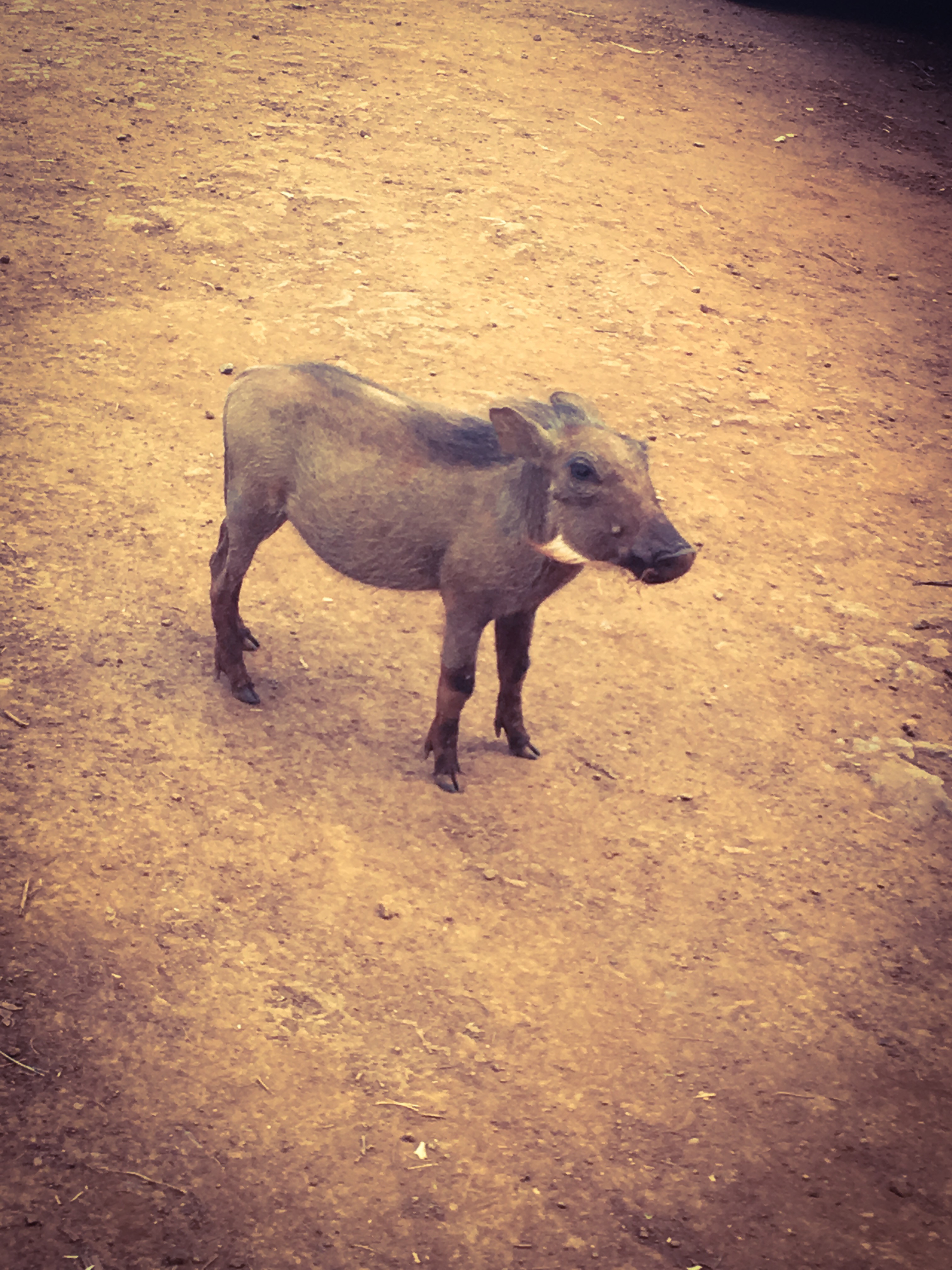 7E98BE16-E34E-47E7-8316-BDFDEB5B6E67