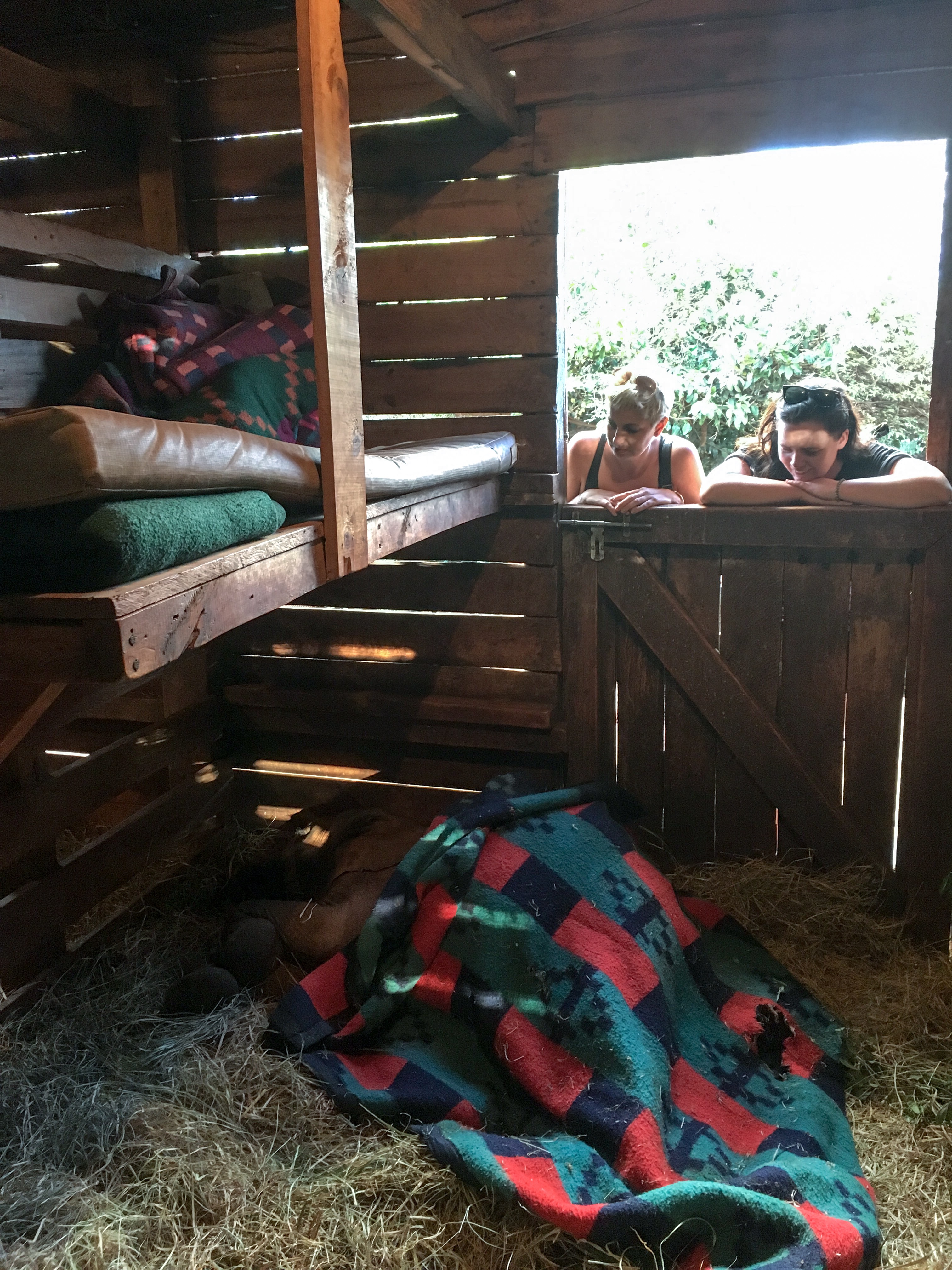 A1FFB1D7-387E-4A46-B410-B90E6201B45F