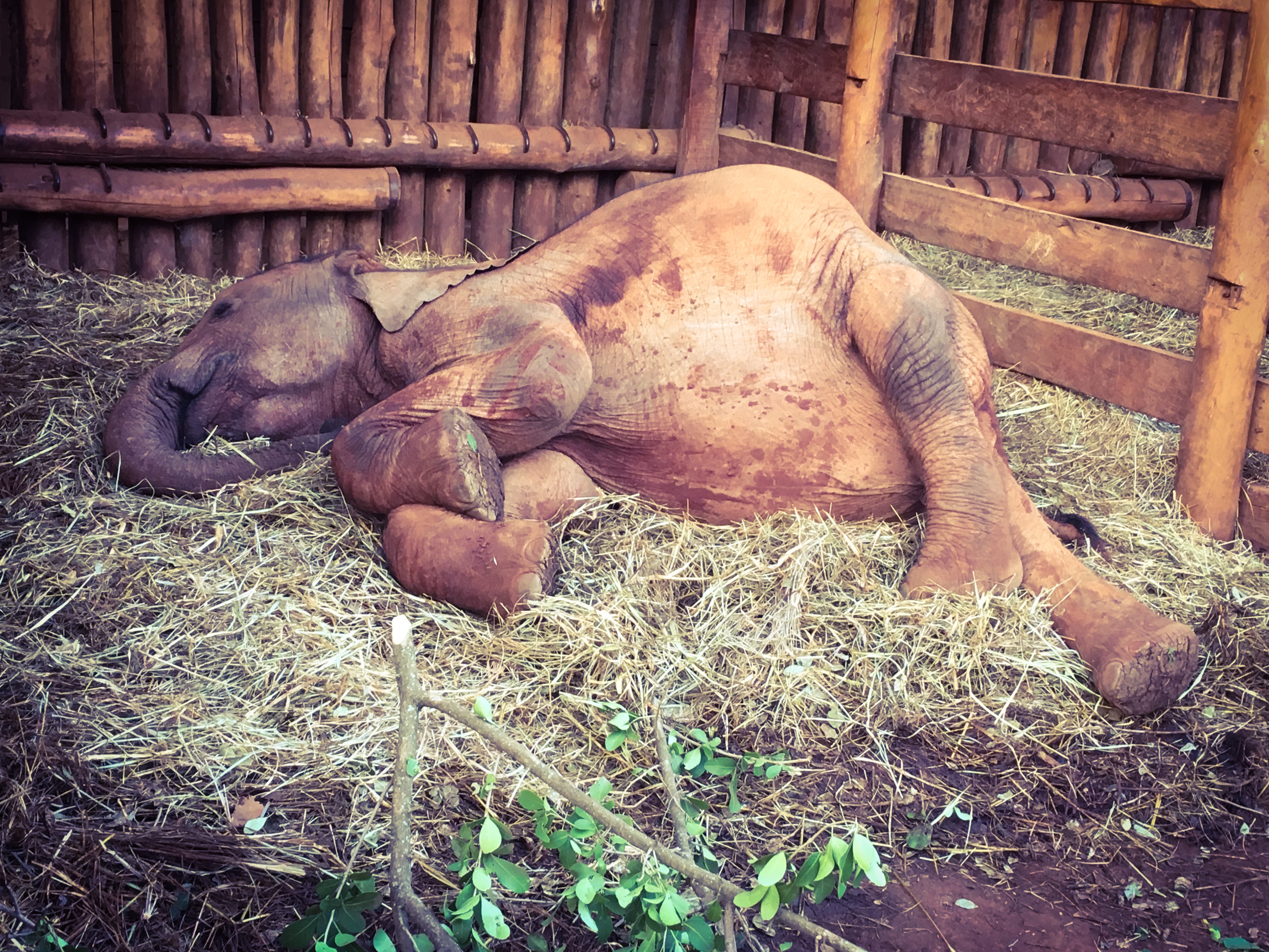 BDB43A84-90FB-4B45-AED6-10B6FB4D3B3A