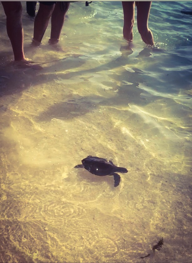 16DD88C7-6841-42F0-ADDE-F0A9111F69E1