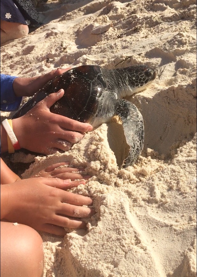 1B854C3E-DE3B-4B82-9C15-DD9F491B7299