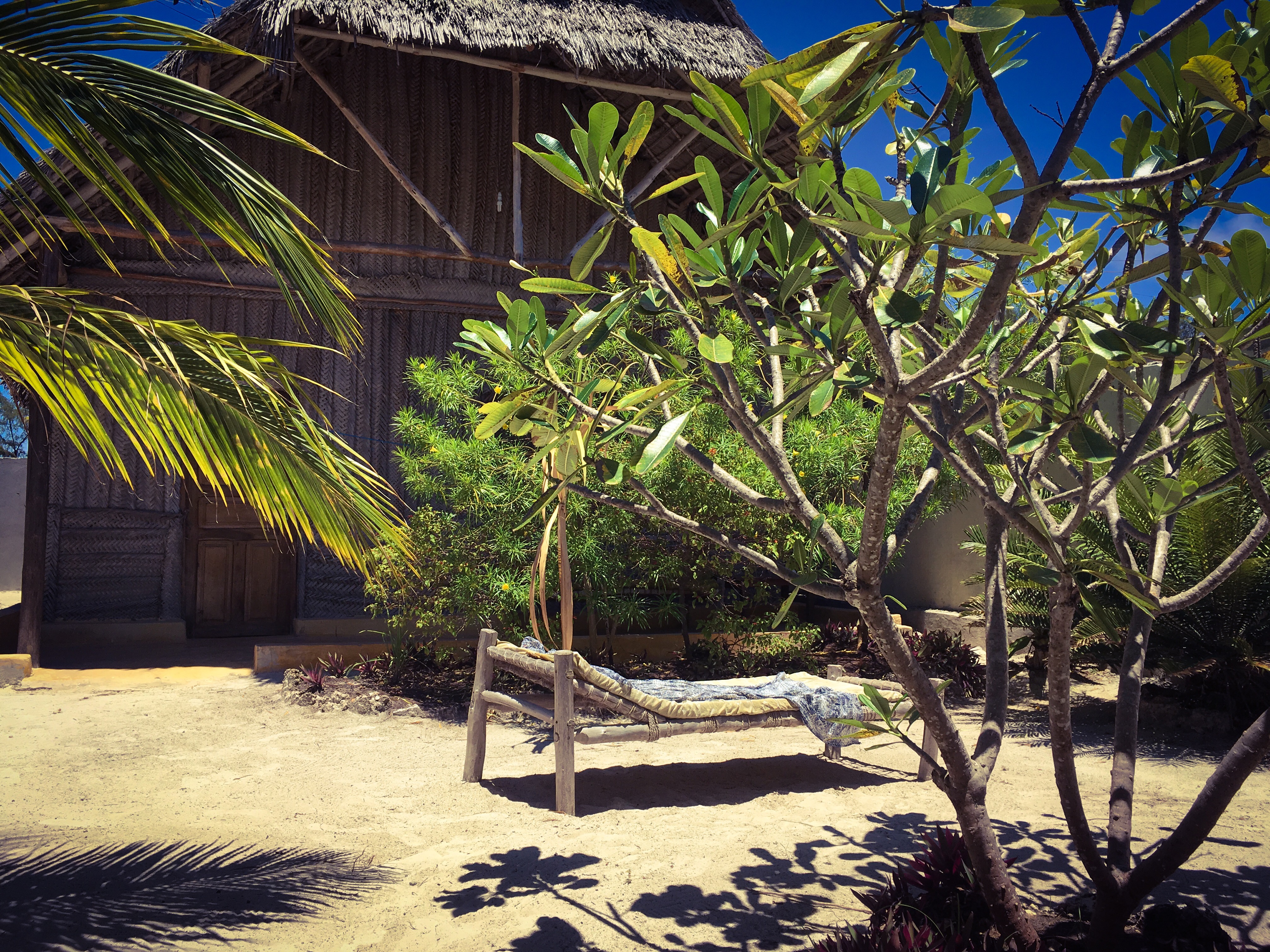 512603B2-0E6D-4B28-97F5-0E486168F35D