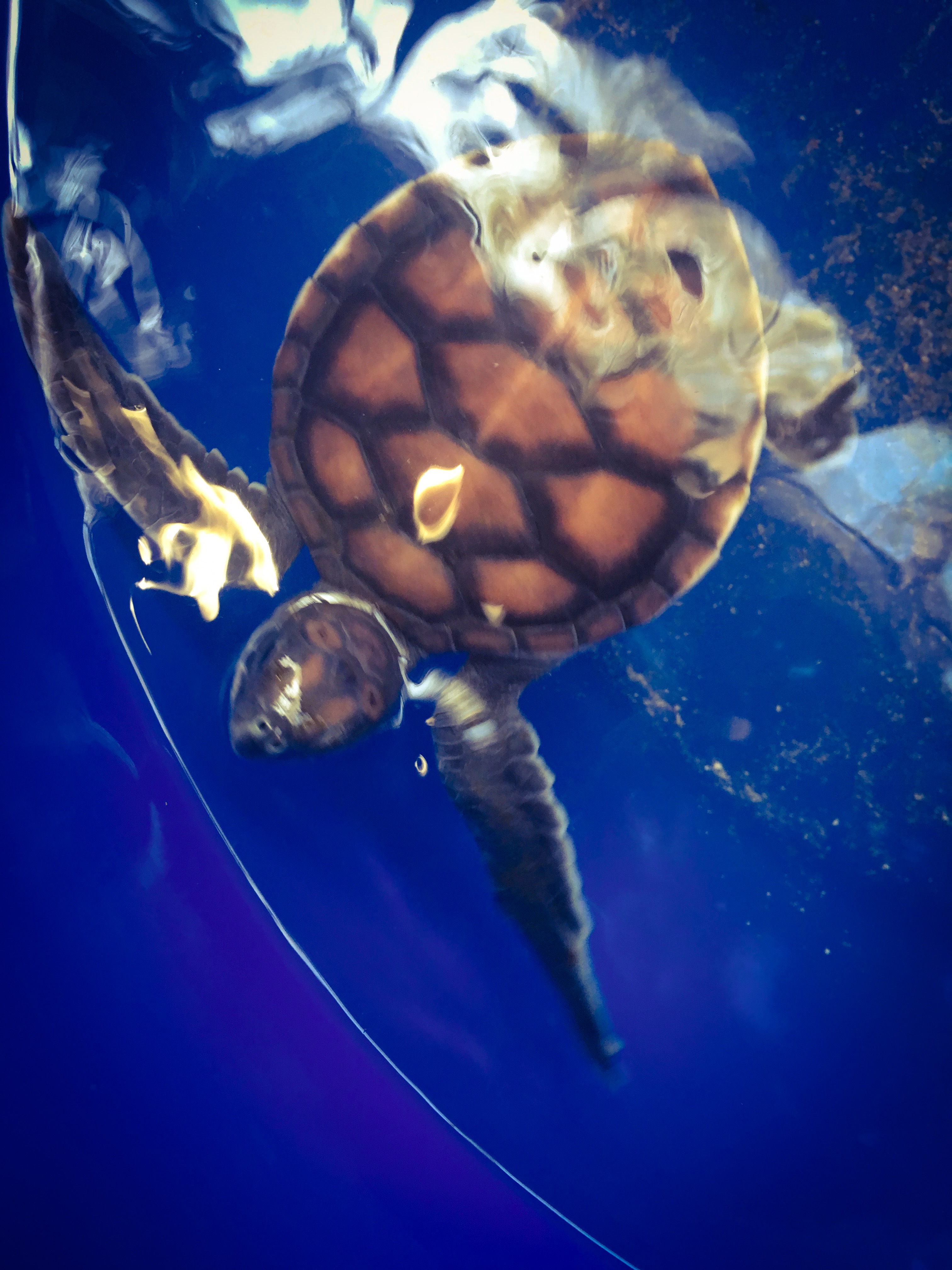 7EEE826F-969C-4F07-8F7A-E0168274EEC6