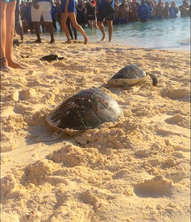 808F8B56-6135-414B-B041-FD312E724595