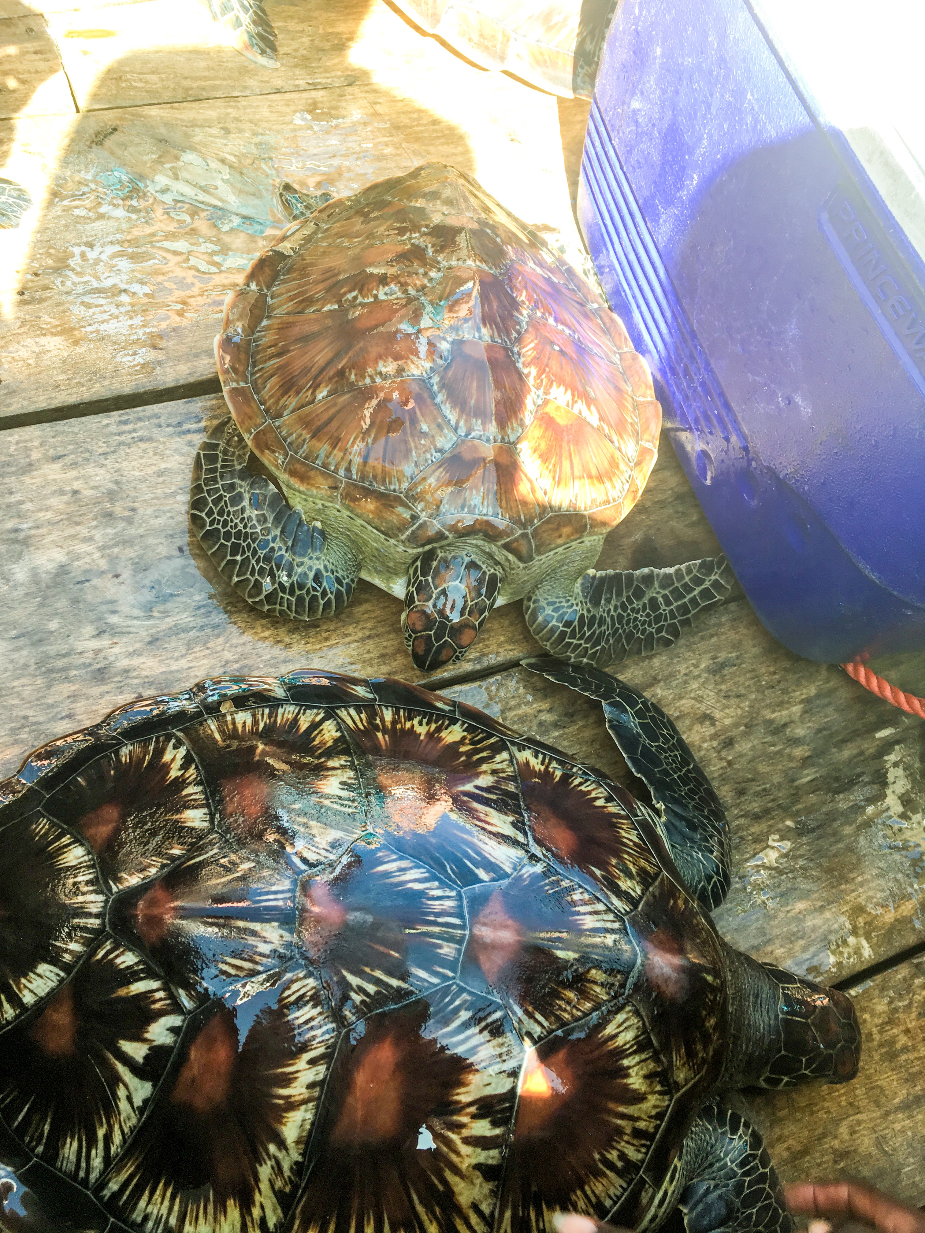 B4337C47-D3E5-4ACF-81AC-738F077F0A6C