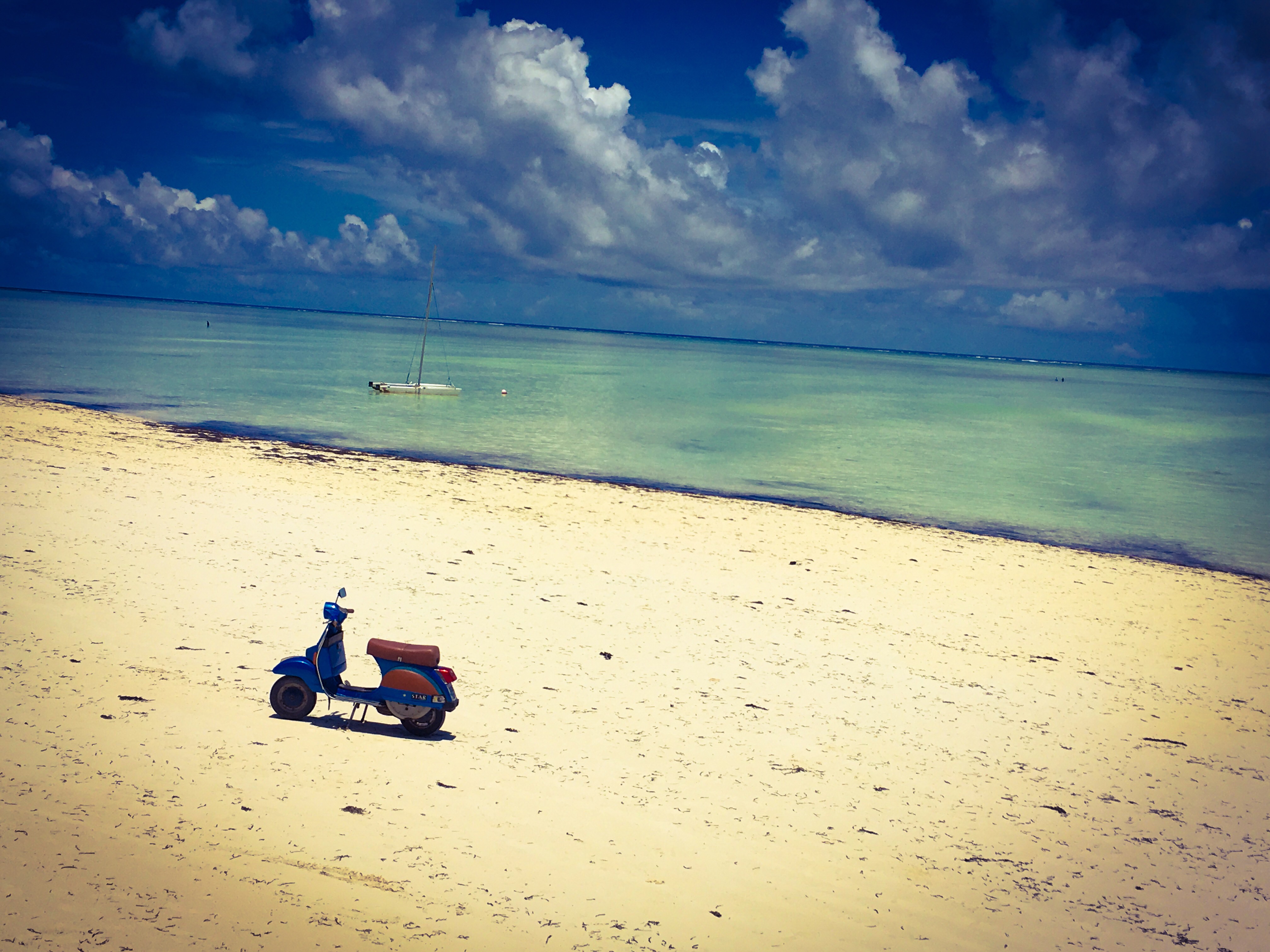 BD33BB2D-E792-4699-9A92-EC8F3174F023