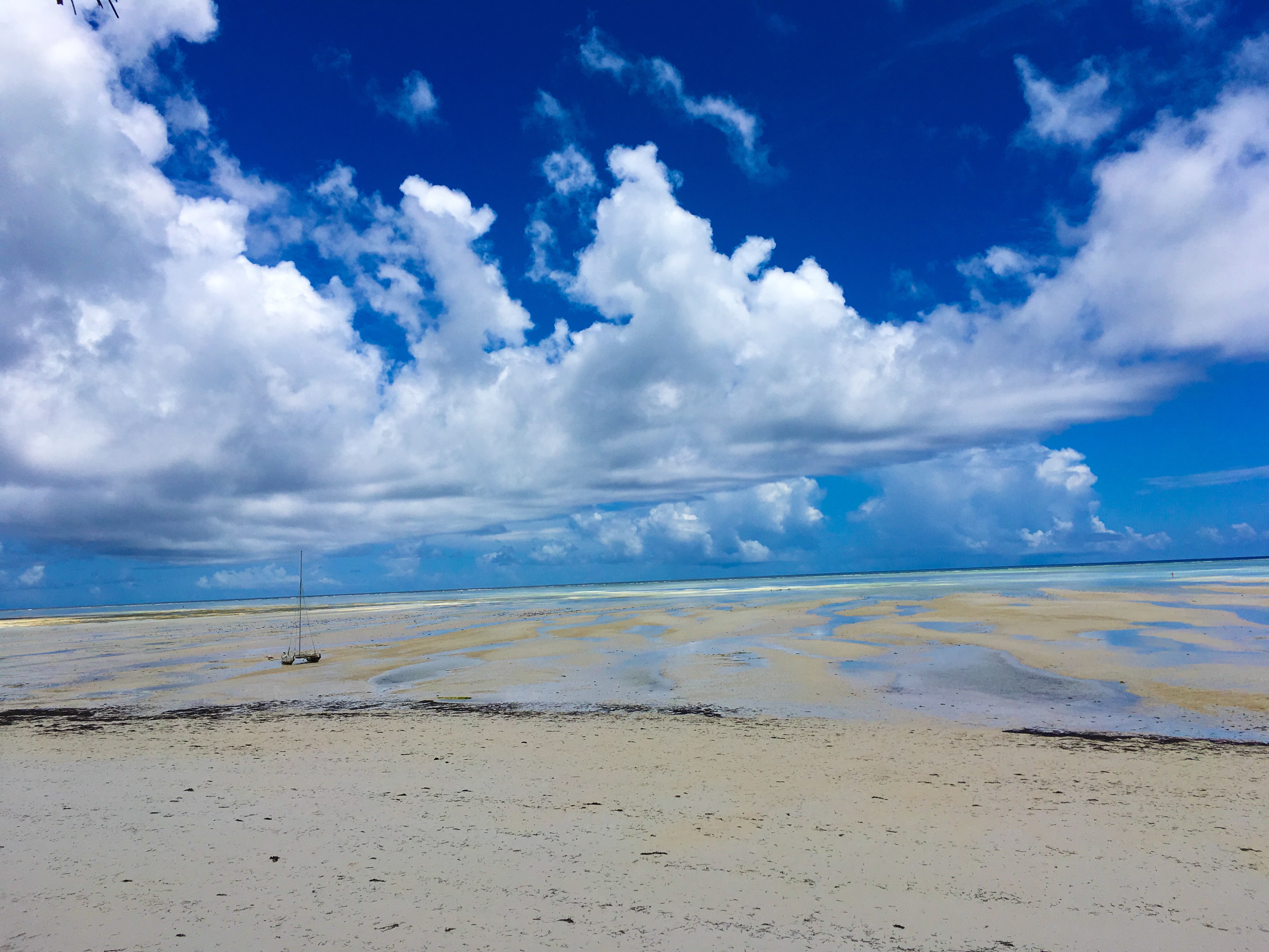 C61FCFF8-0948-4524-9F73-967913AFBFA3