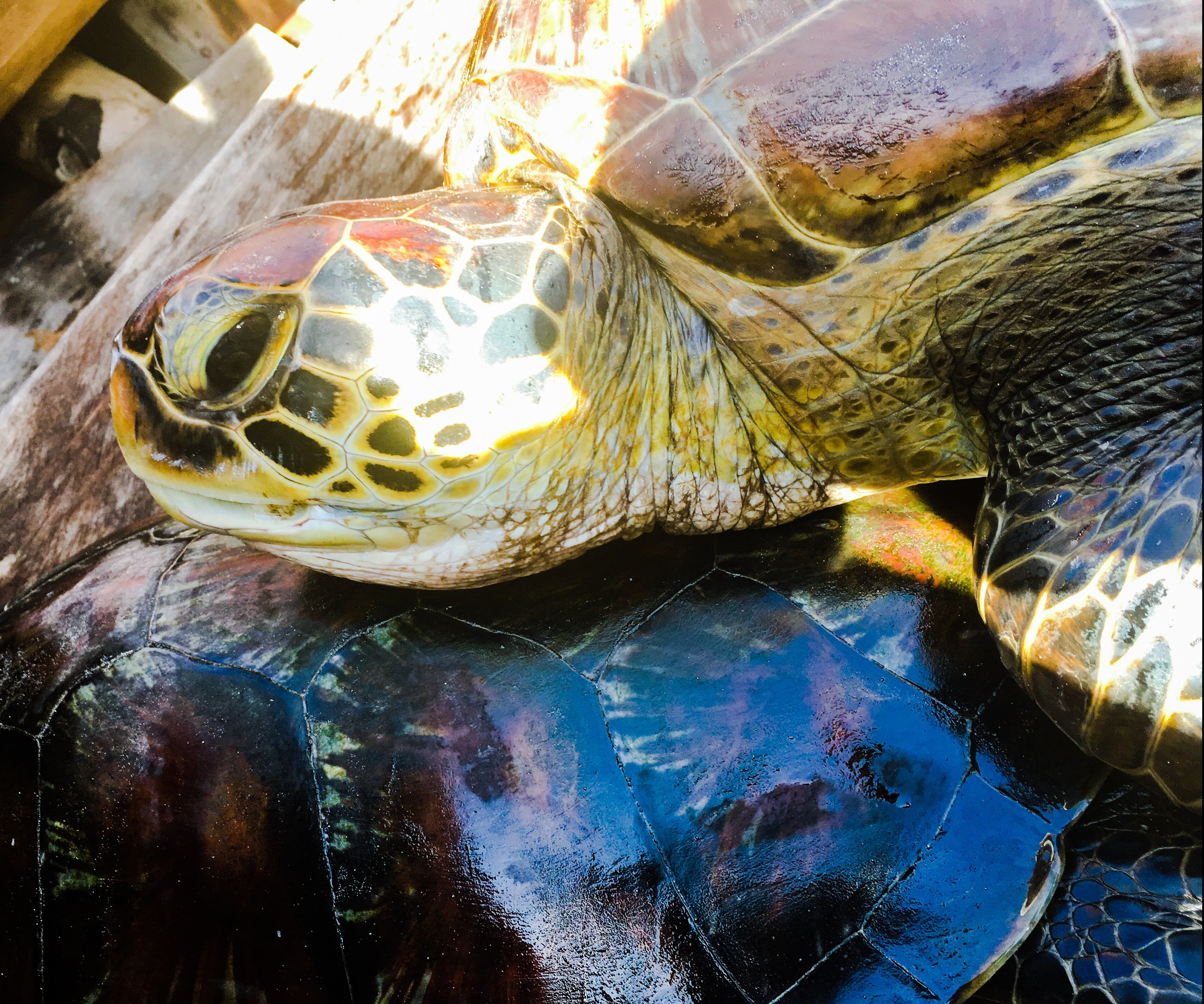 F8919C95-1239-44A5-AA78-C2F289DEEC42