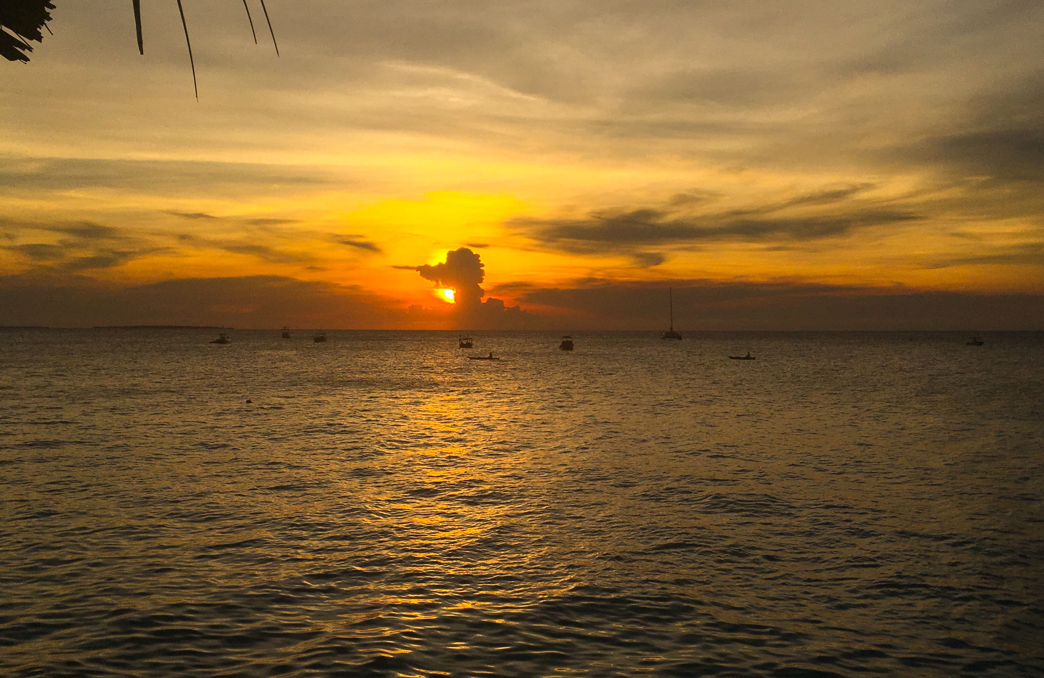 0E1B82DD-BF97-4D83-BAF4-EA279E0B87CD