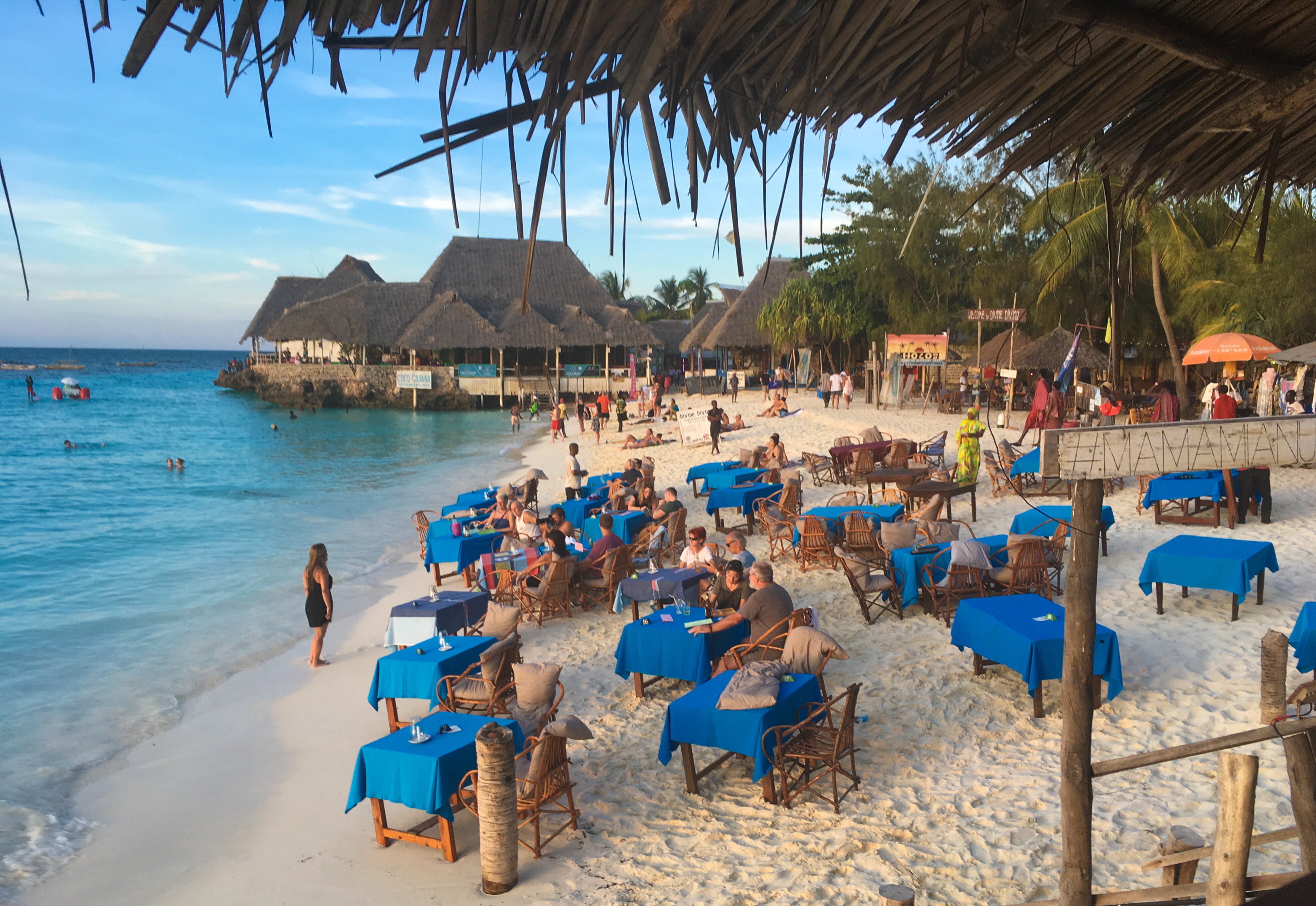 E18318F6-29CF-4118-81E0-1F0ACEA28602