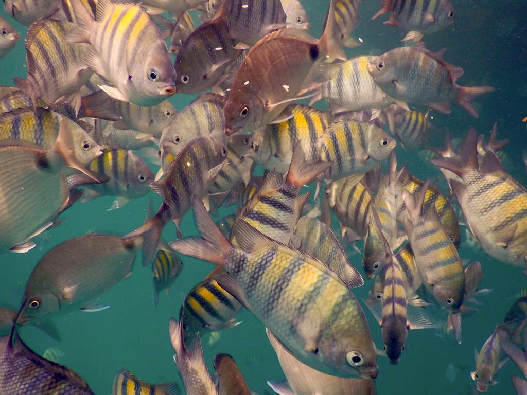 01805BE9-FFA1-4F6C-88DA-77ECCD8B2985