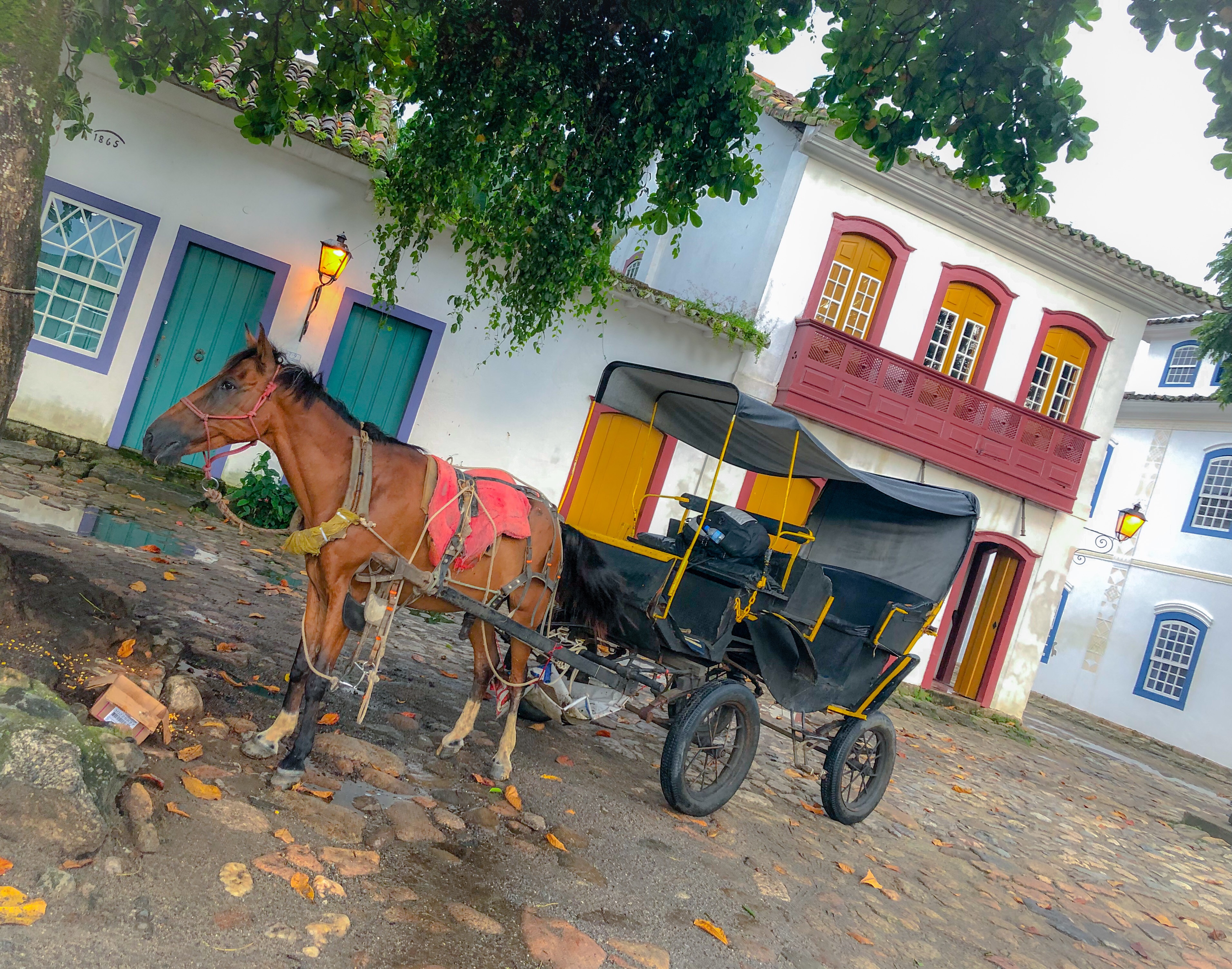 2128BE42-B9F7-451A-964C-FD18E2AF8809