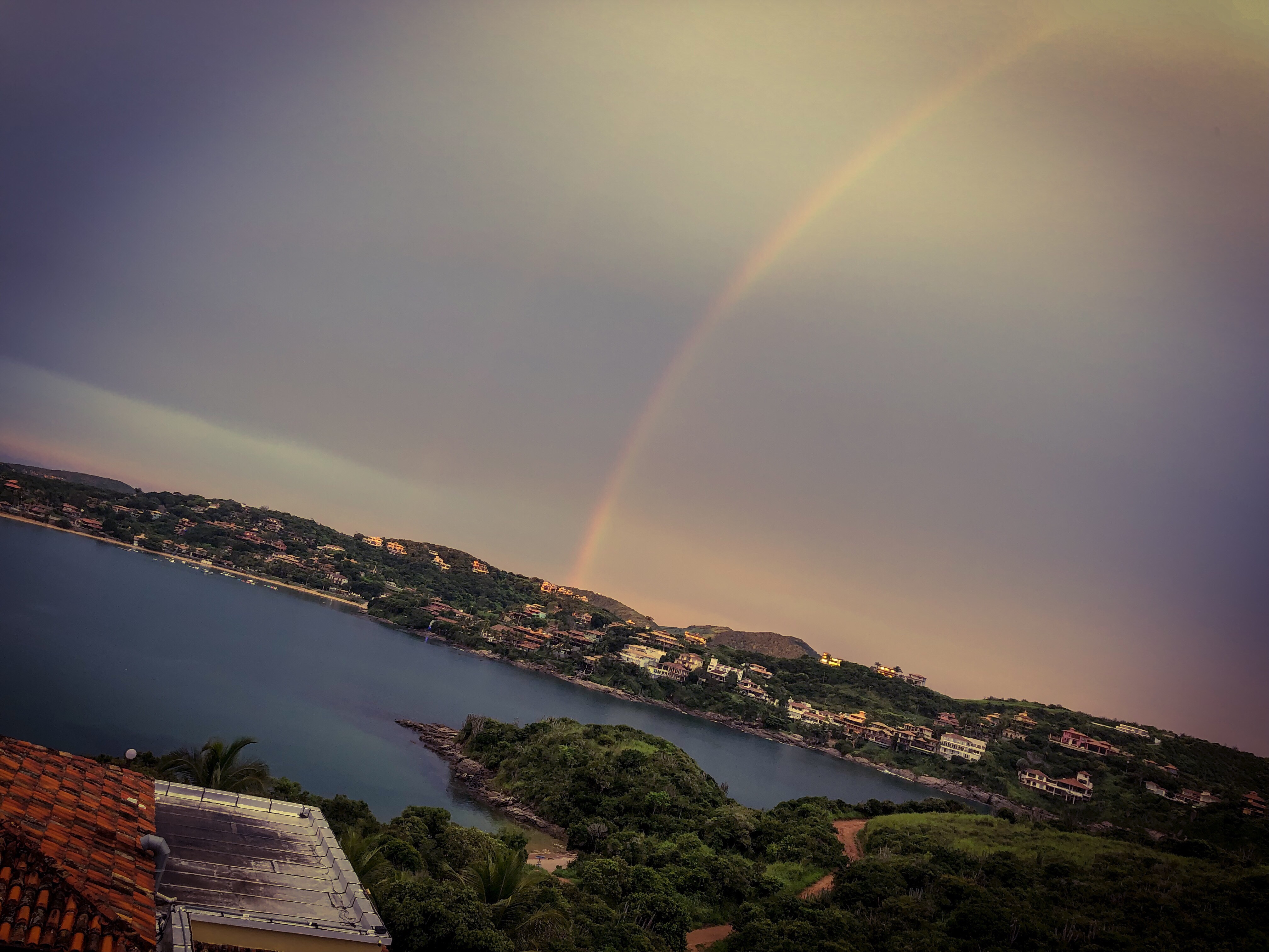 25dc24cb-05b8-4fd1-b881-0ab972095876