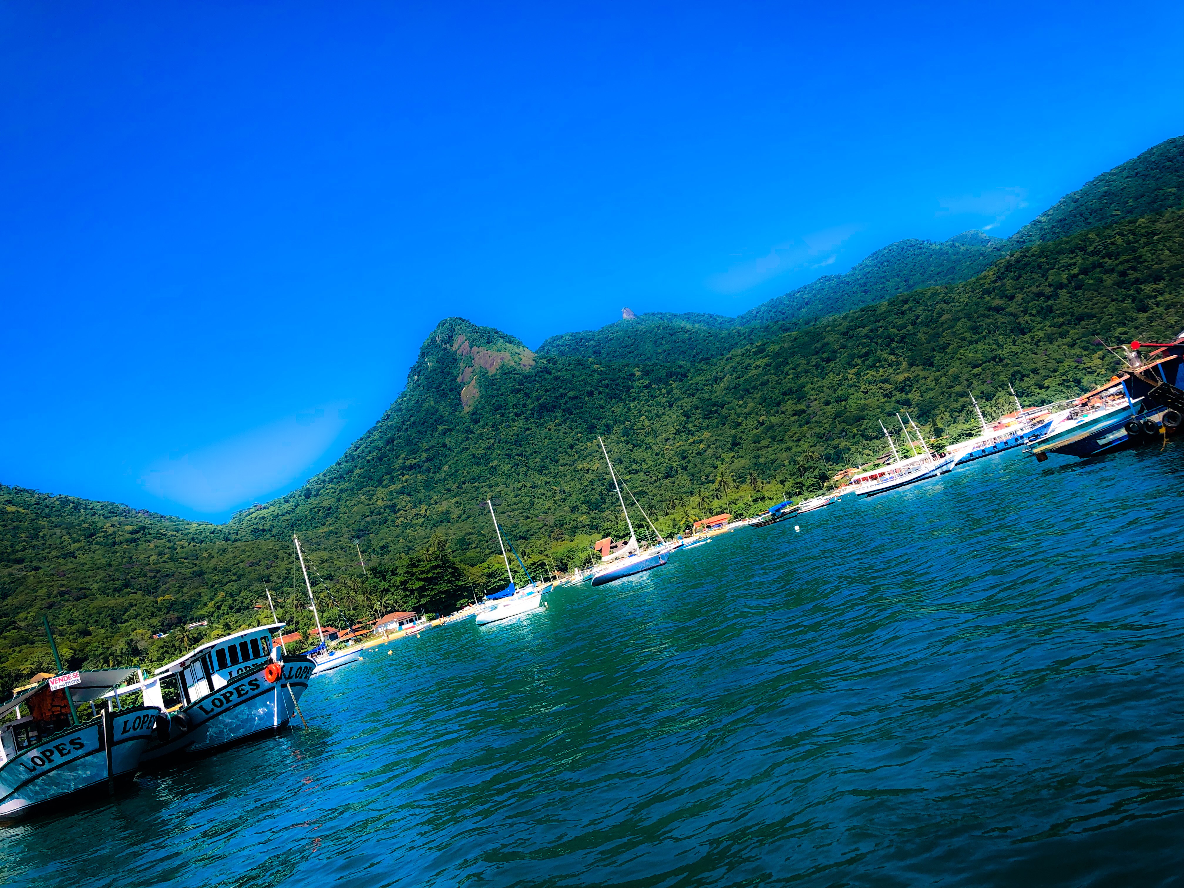 3374006E-E239-4E5D-A50B-9371438FB65D