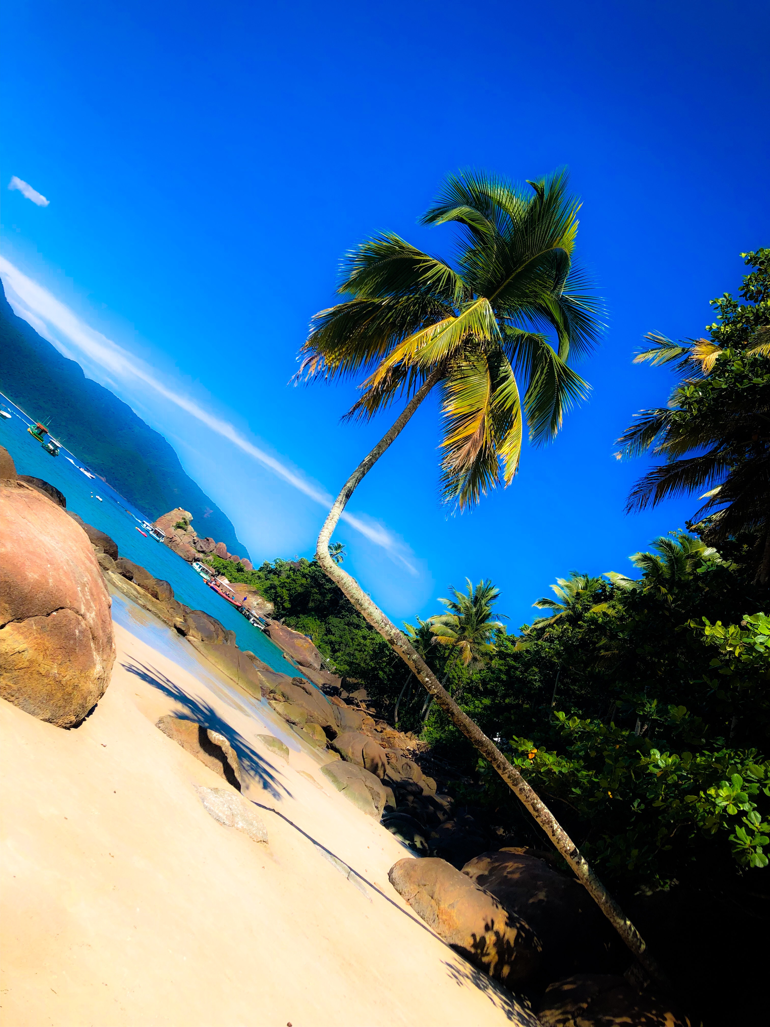 428F93AF-8EB3-4218-B97F-DF2FF86C6C4F