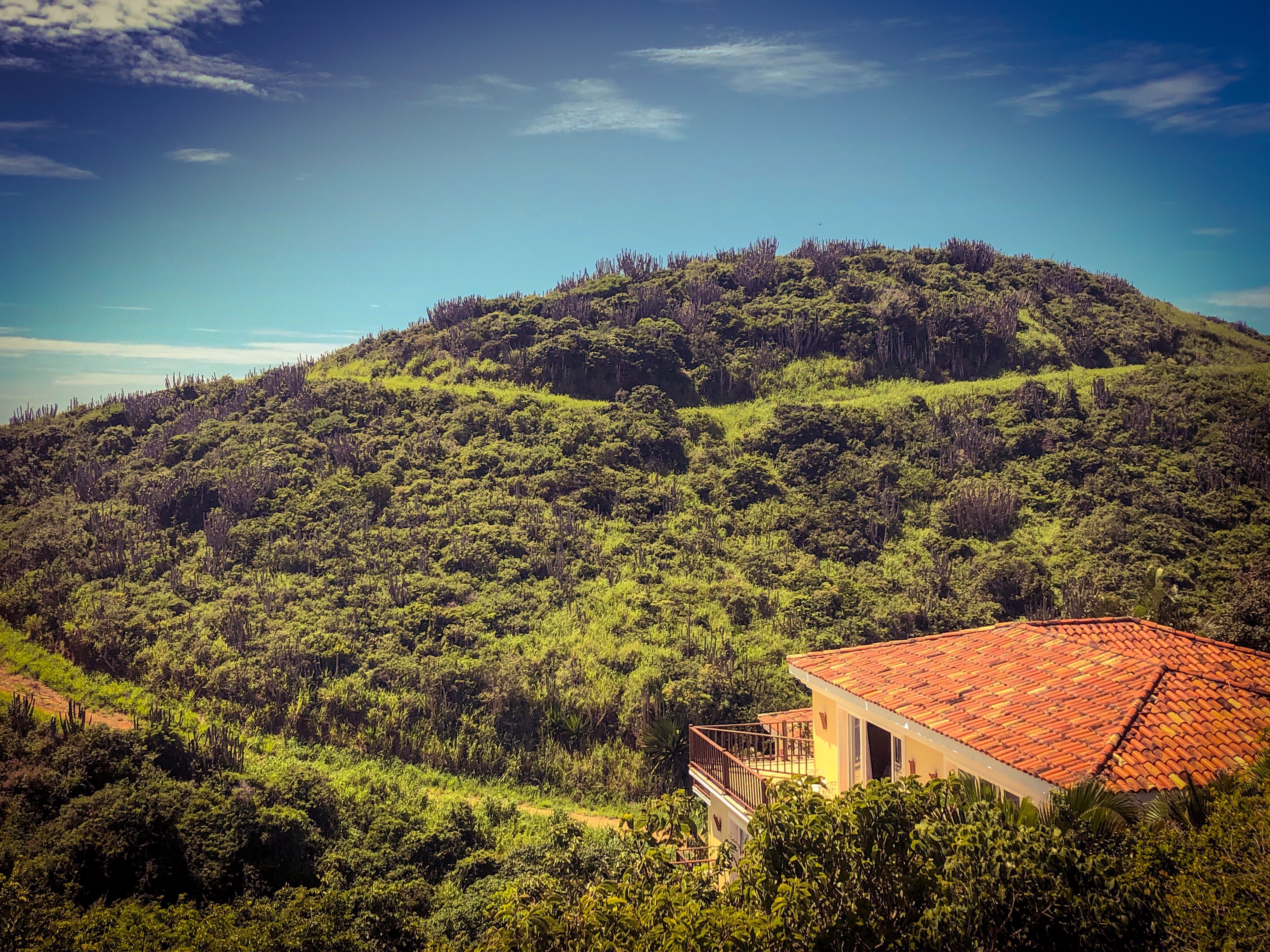 f26a3d1f-e080-41ce-9d10-b7c01671684a