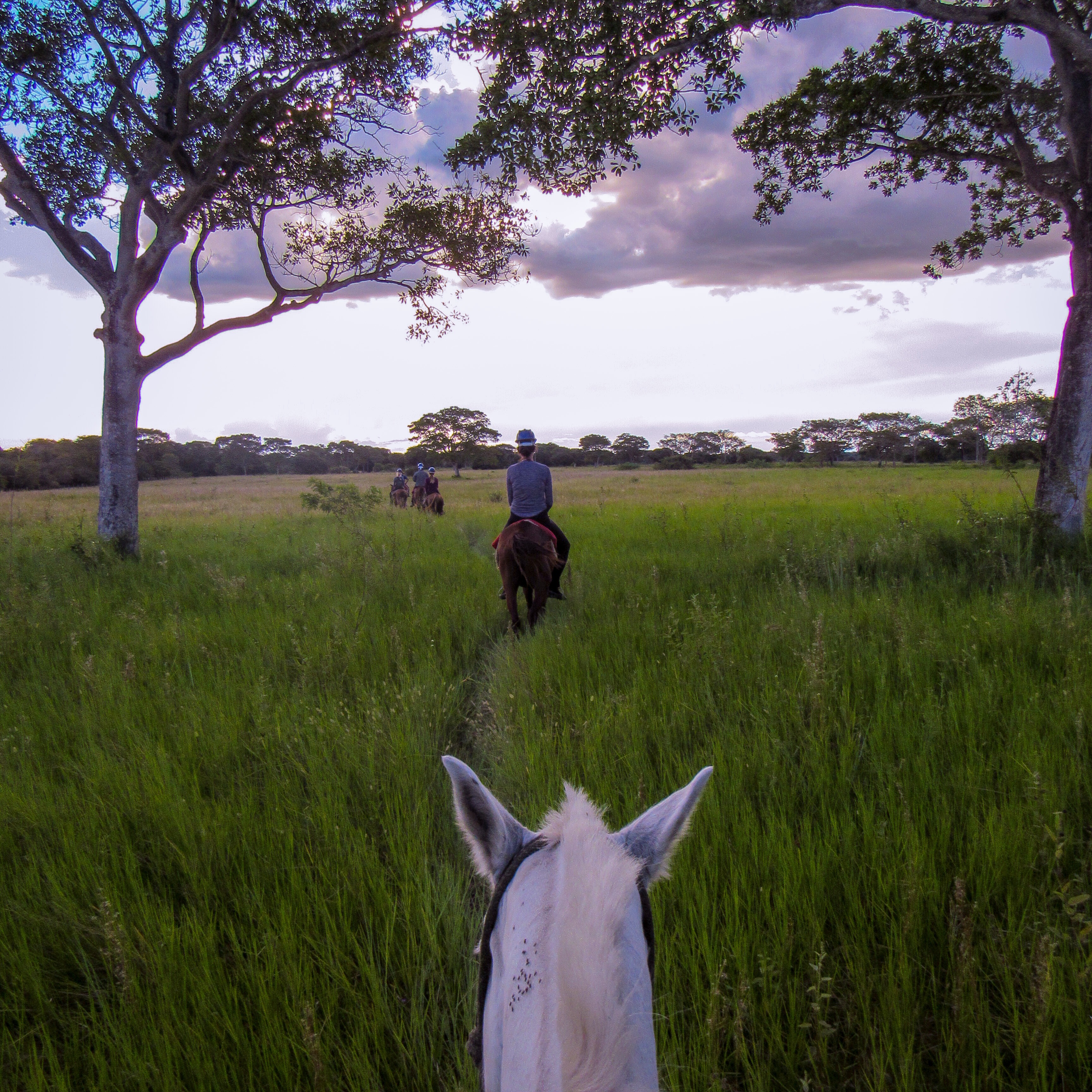 0233E040-44FD-443D-BD1D-AD7D8ABD738D