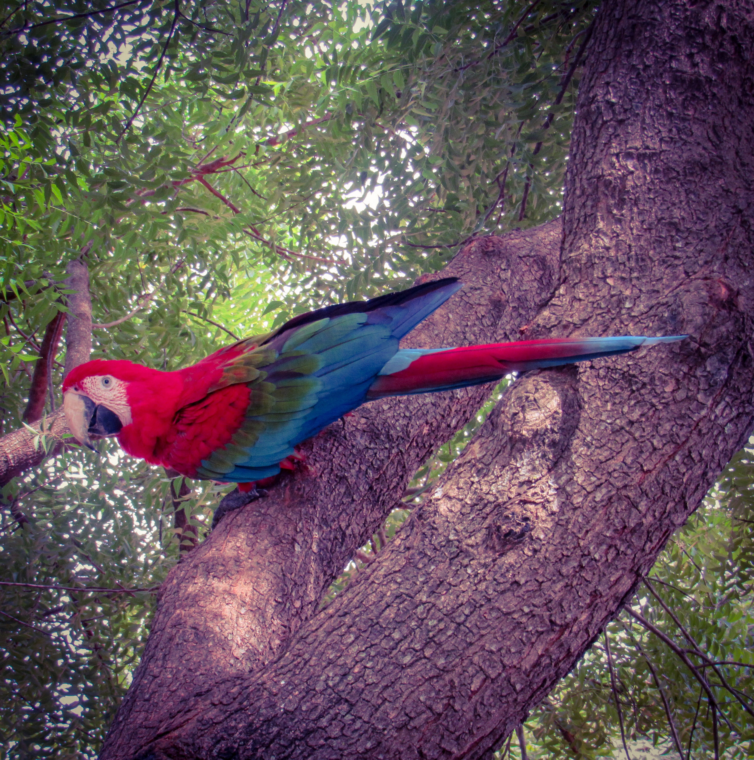 07FA3D29-2783-412F-8200-ED51F128EB06