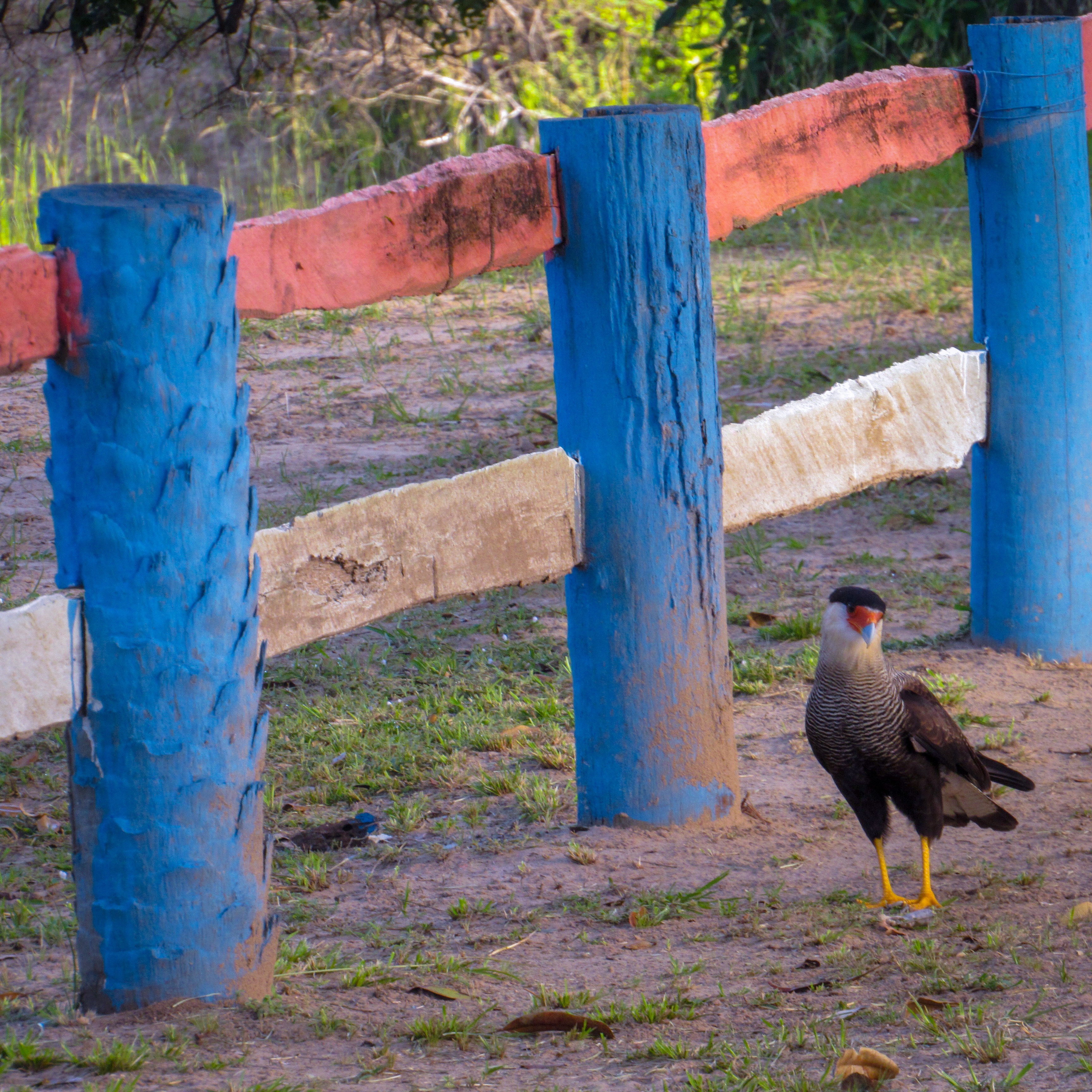 08653F4B-A982-43D5-9DBB-3B0569505984