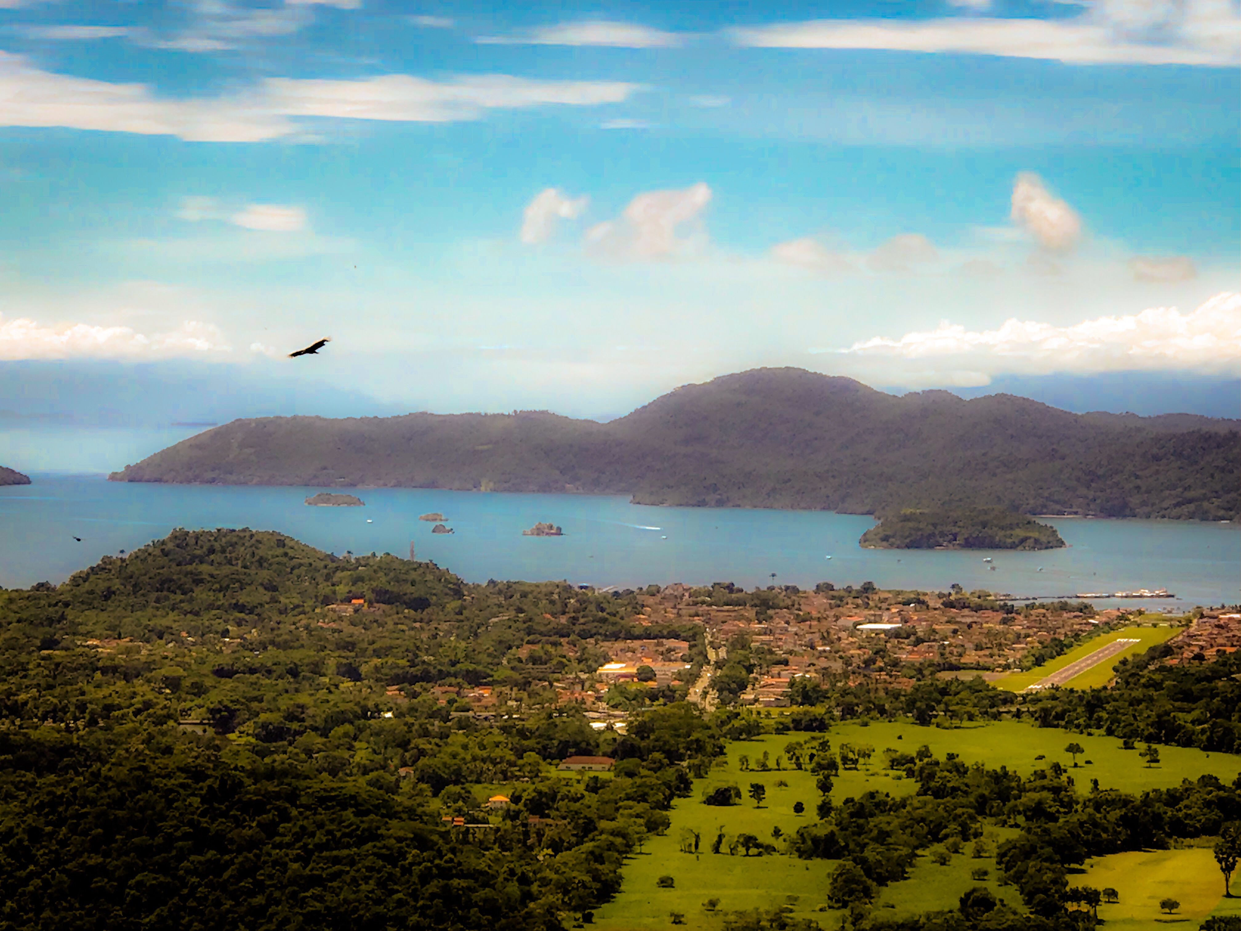 09C5E610-B4E1-41FC-A567-2136471DCB1A